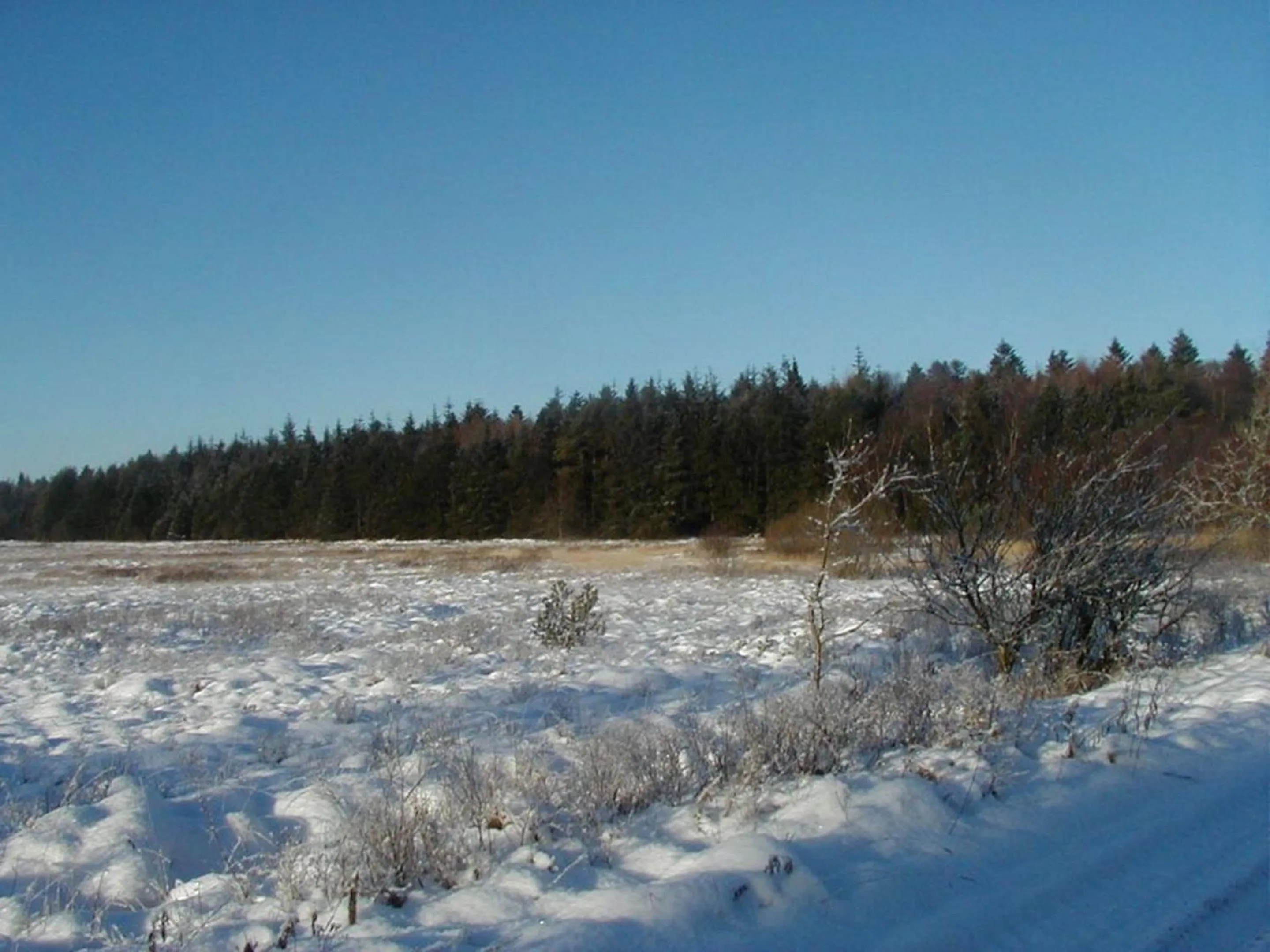 Other in Reiterhof Wollesen