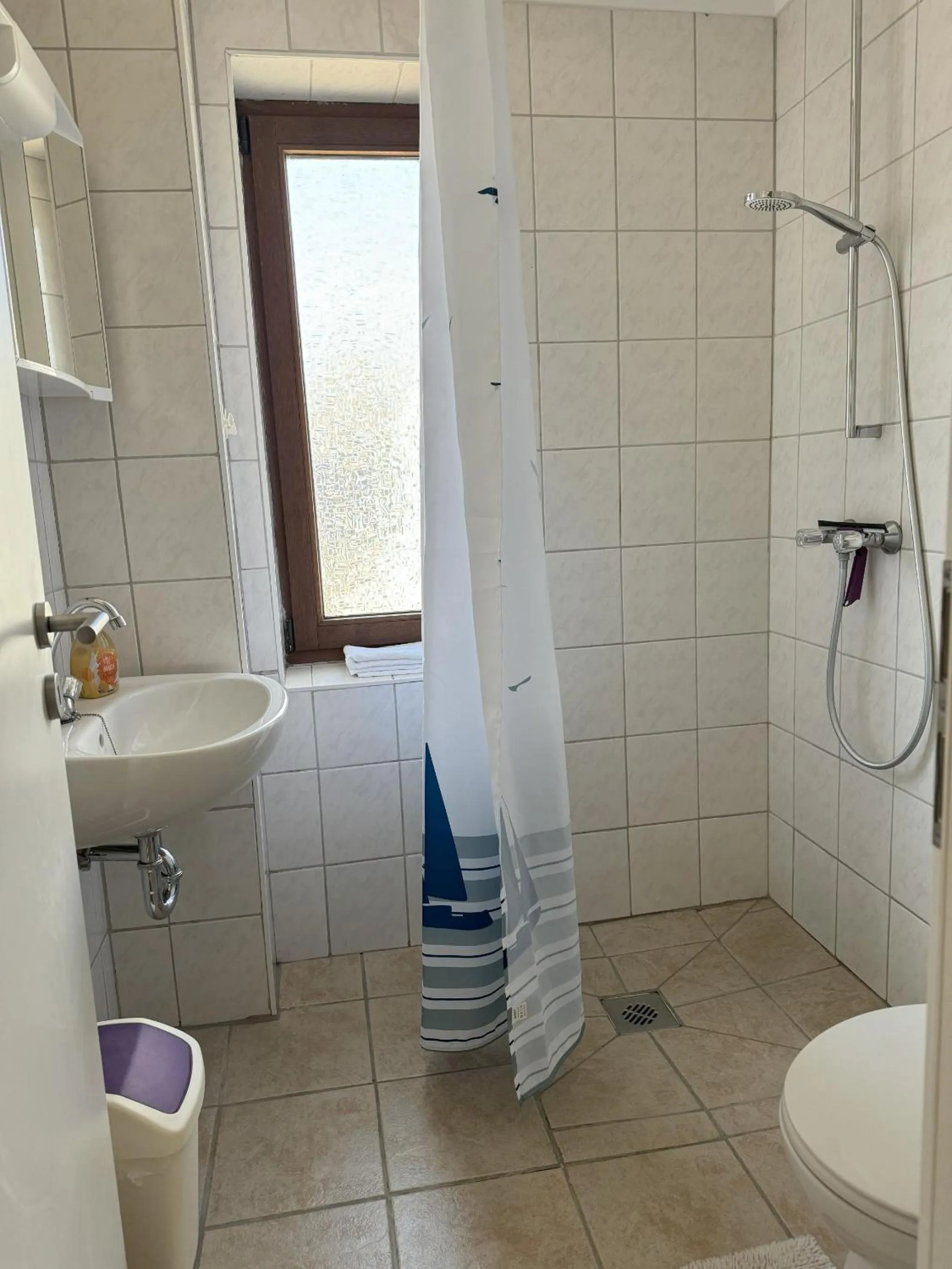 Shower in Reiterhof Wollesen