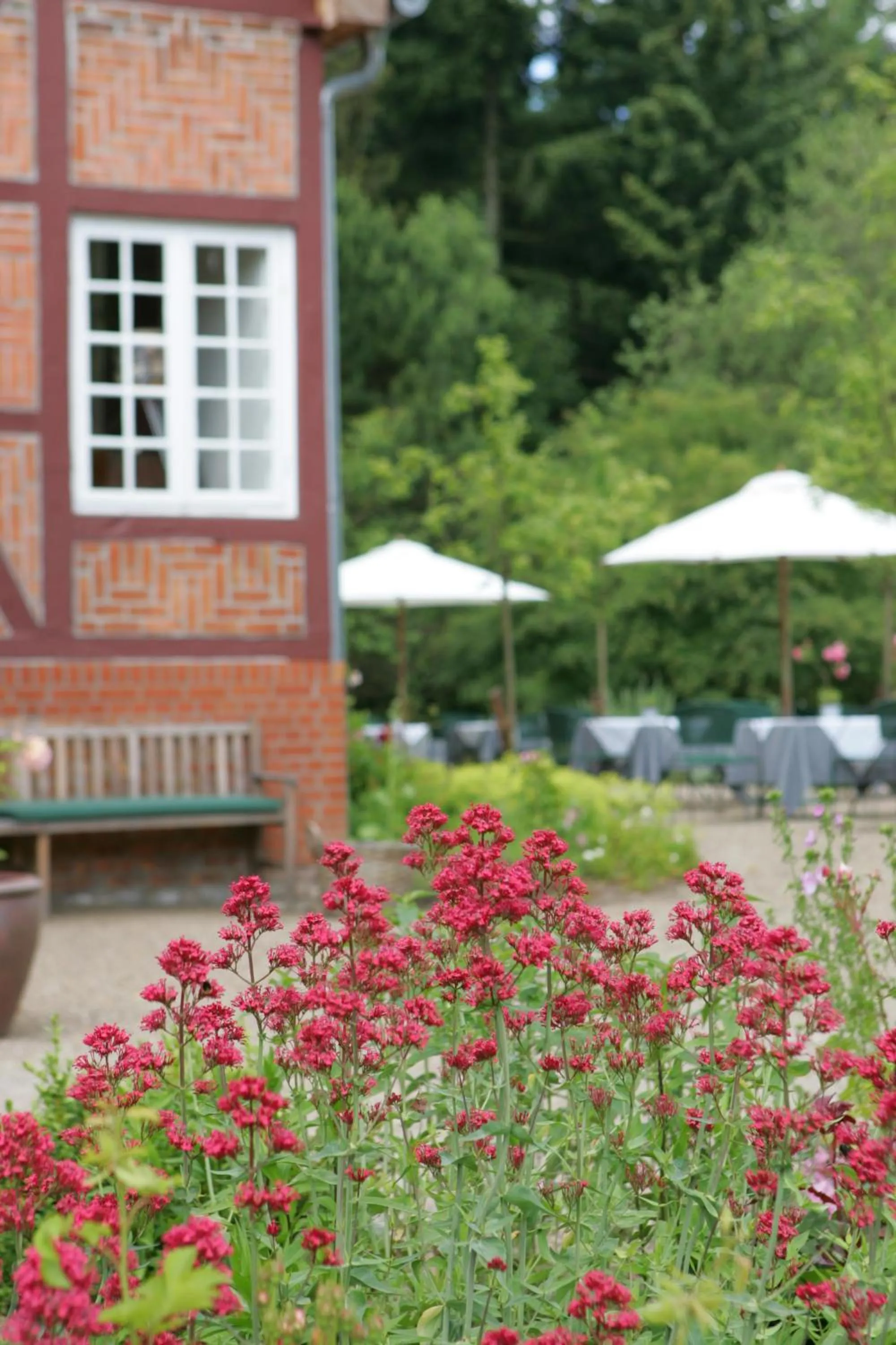 Restaurant/places to eat in Hotel Waldhof auf Herrenland