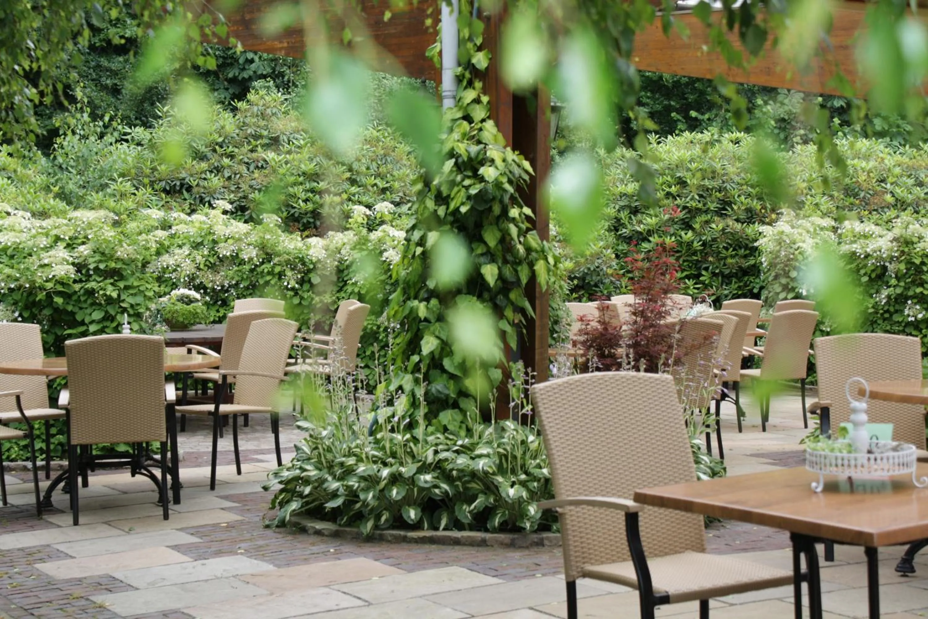 Garden in Hotel Backenköhler