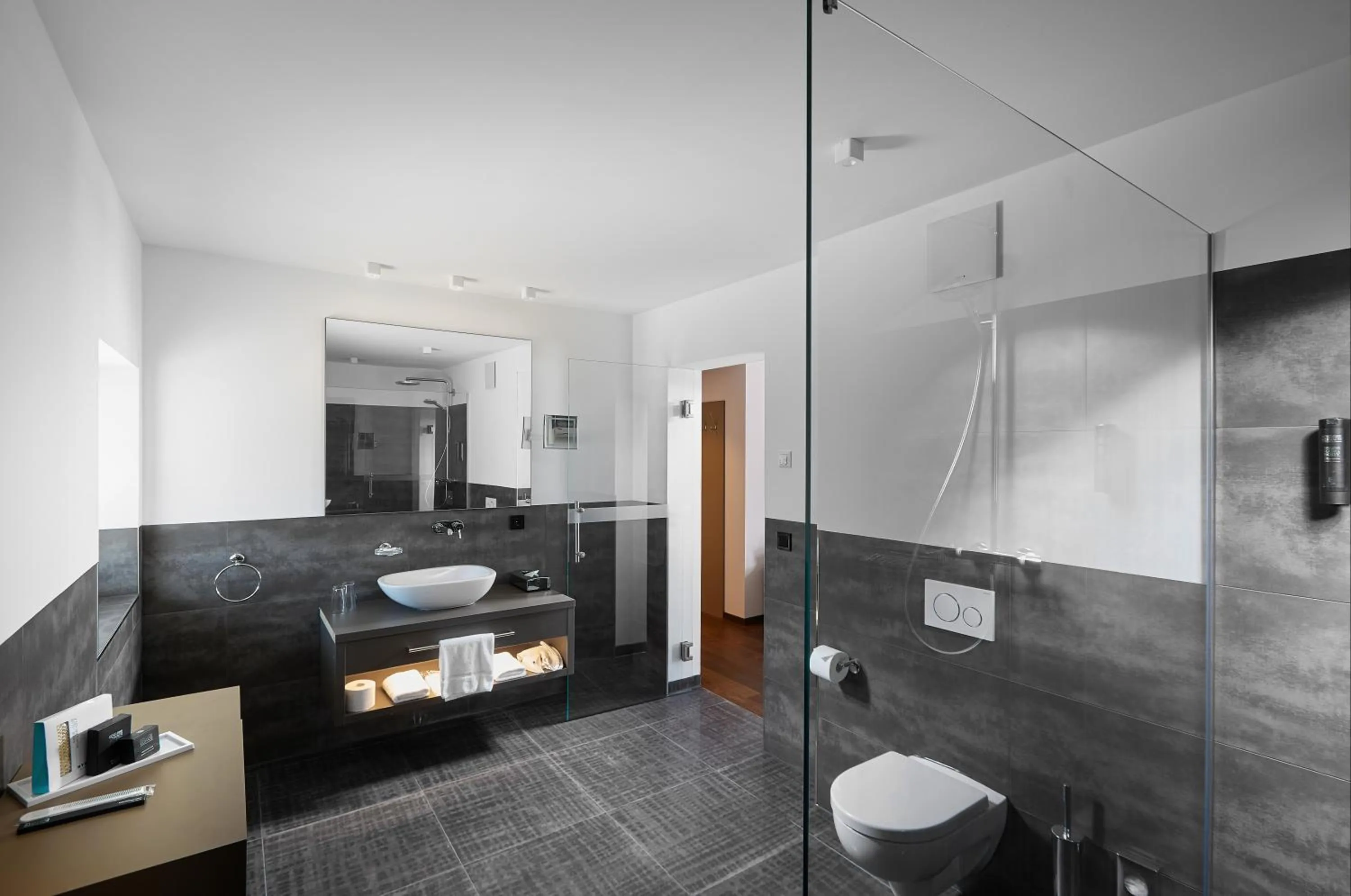 Toilet in Schloss Reinach