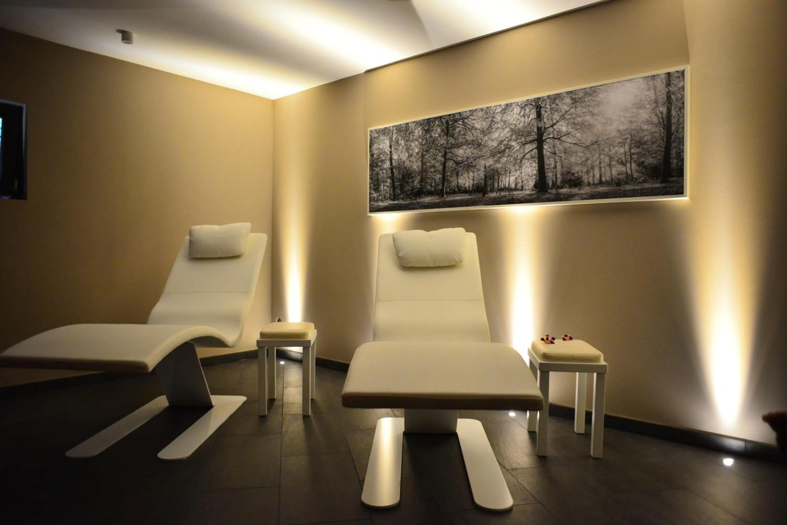 Spa and wellness centre/facilities in Schloss Reinach