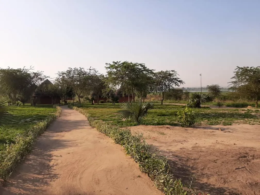 Natural landscape in Tangi Safari Lodge