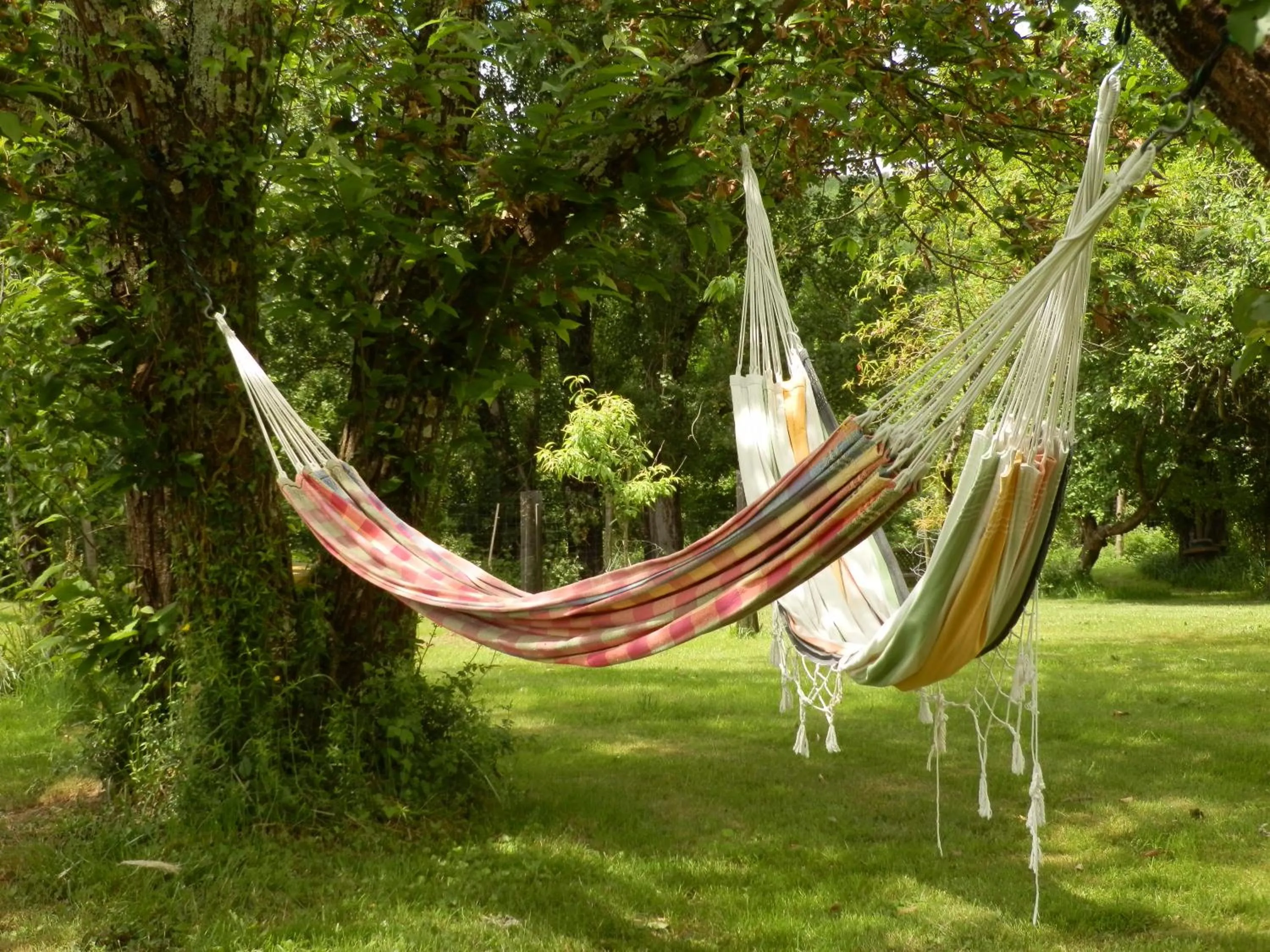 Garden in les tamaris