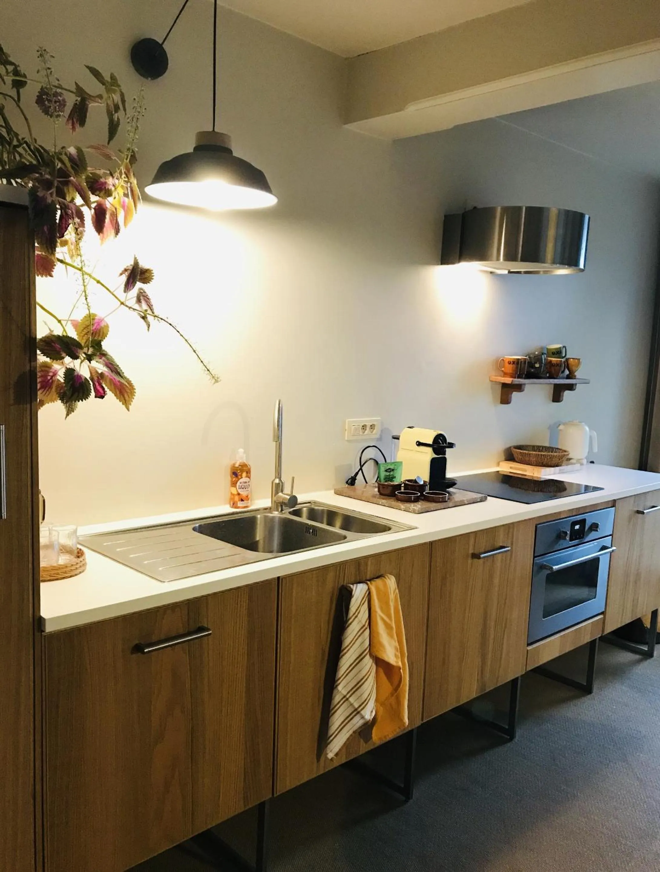 Kitchen or kitchenette in Panacée Guesthouses