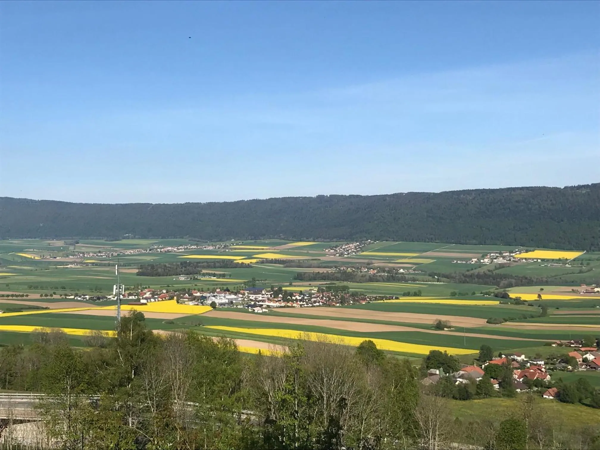 View (from property/room) in Le Manoir de l'Oselière & Spa
