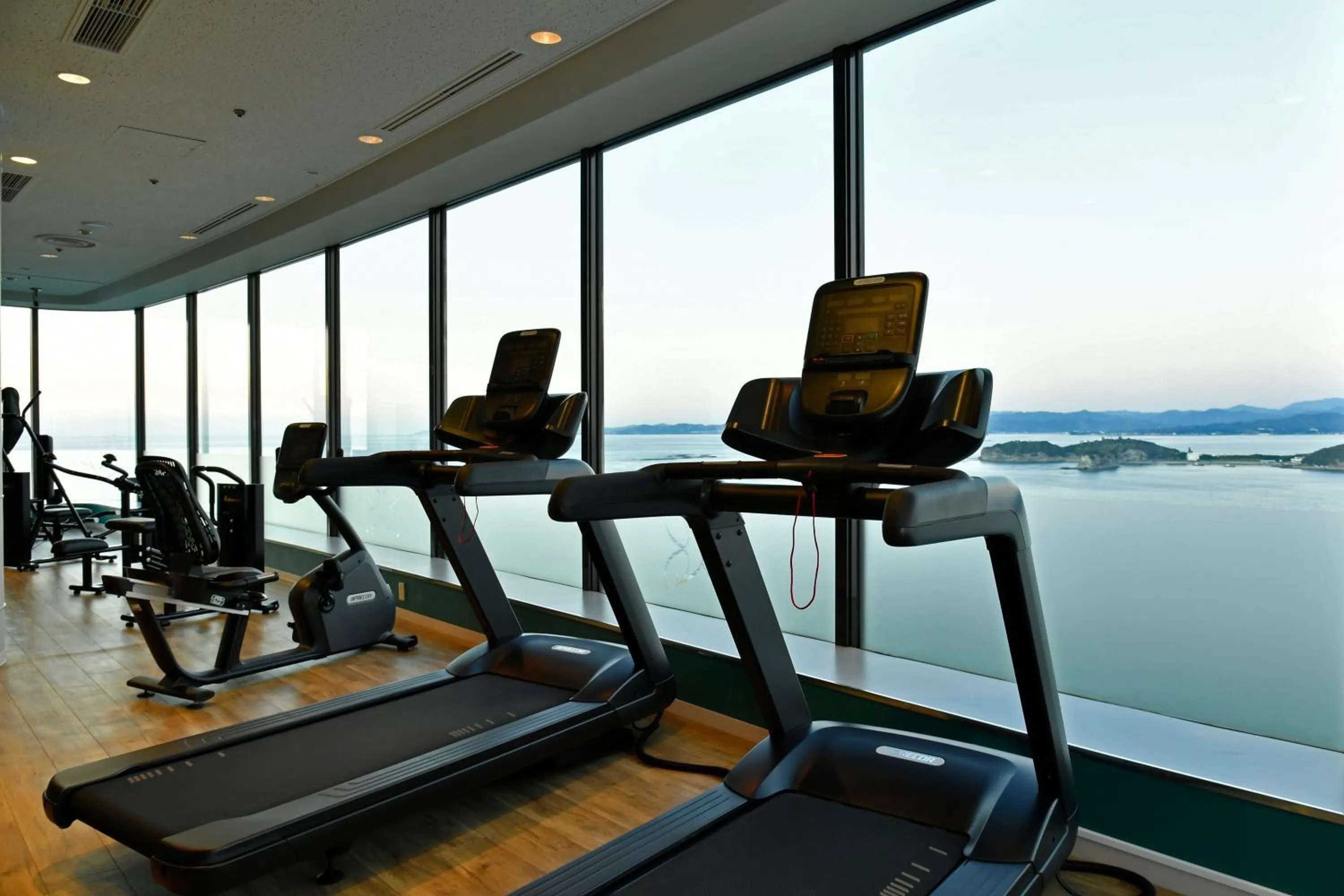 Fitness centre/facilities in The Gran Resort Elegante Shirahama