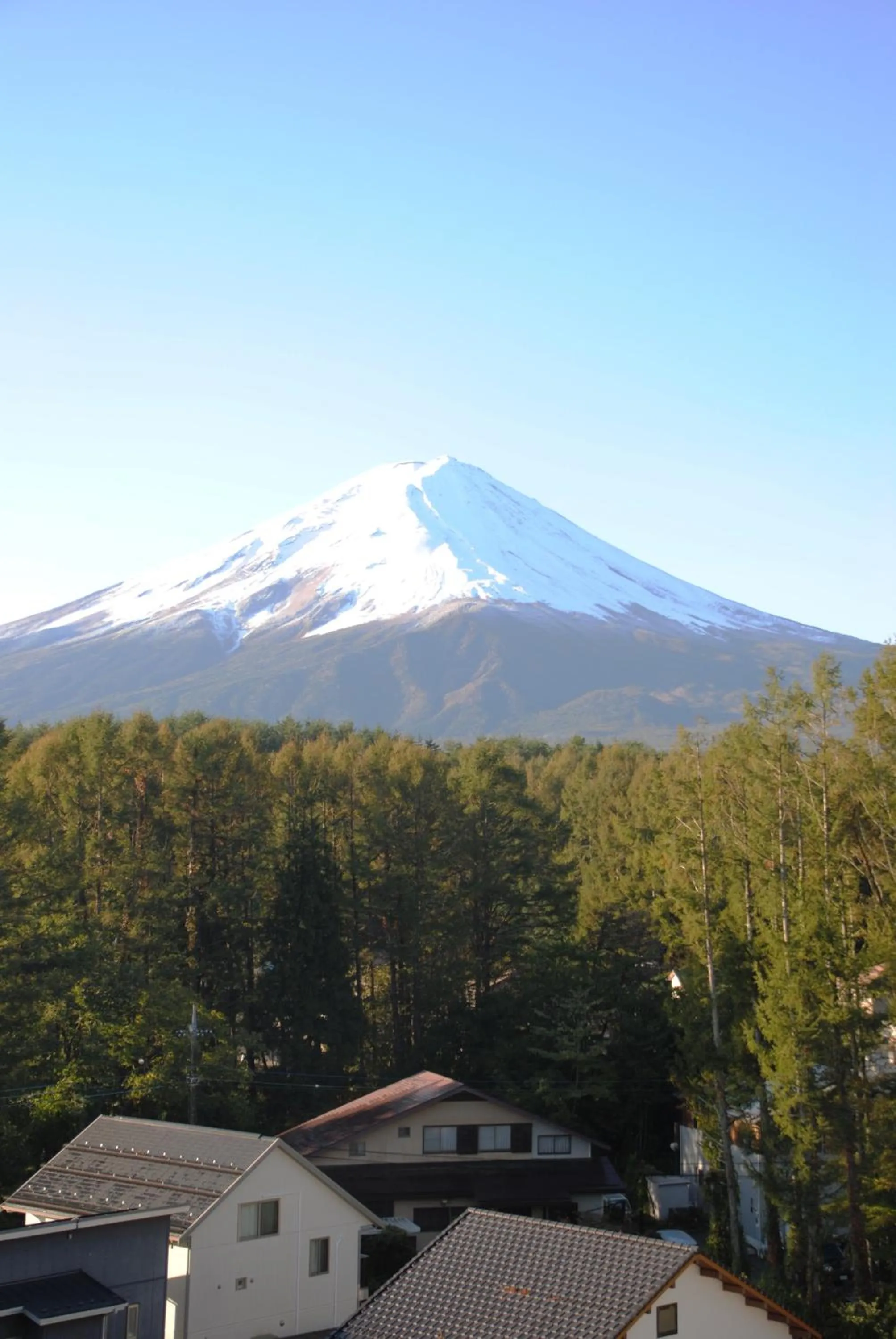 Natural landscape in The Gran Resort Princess Fujikawaguchiko