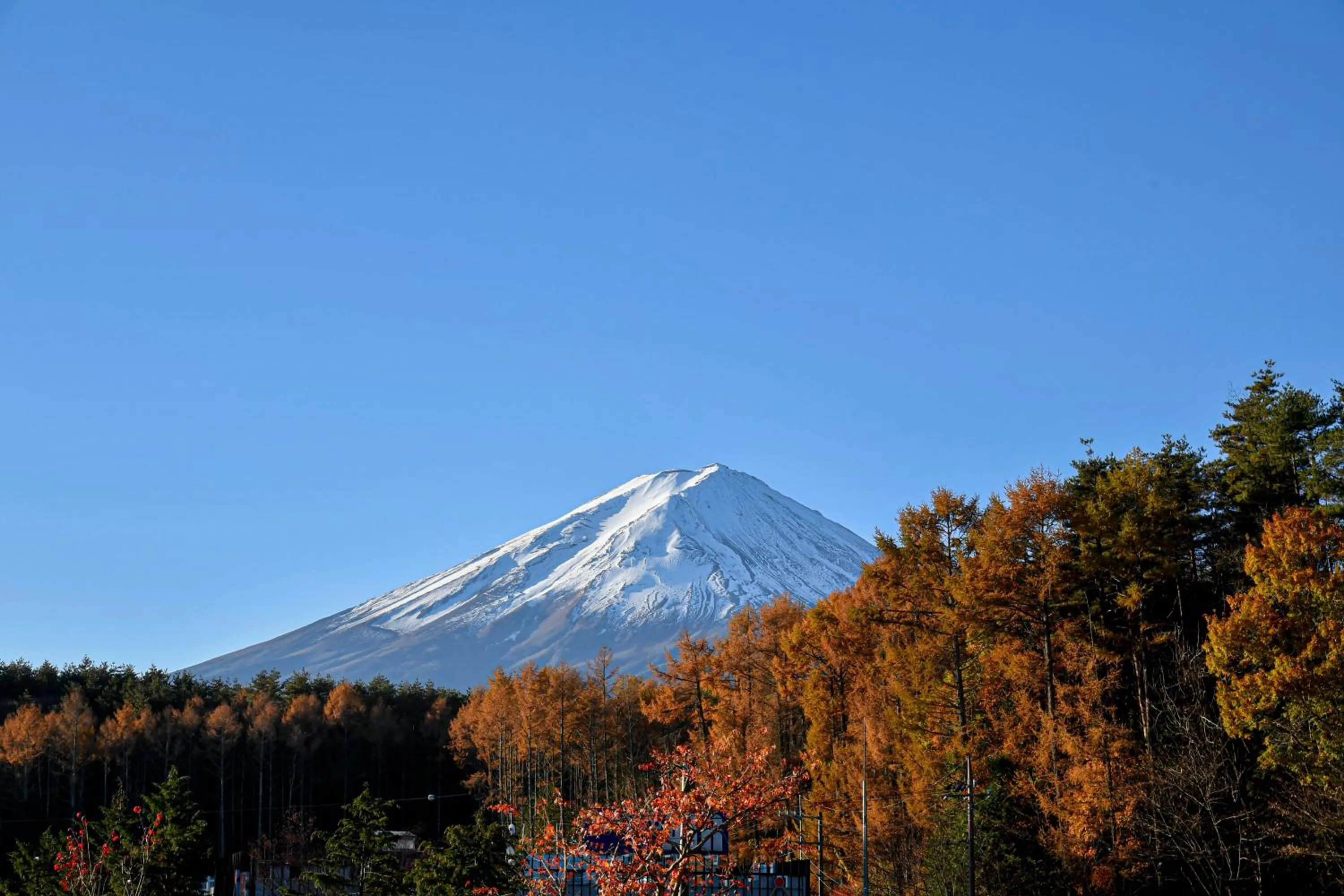 Natural landscape in The Gran Resort Princess Fujikawaguchiko