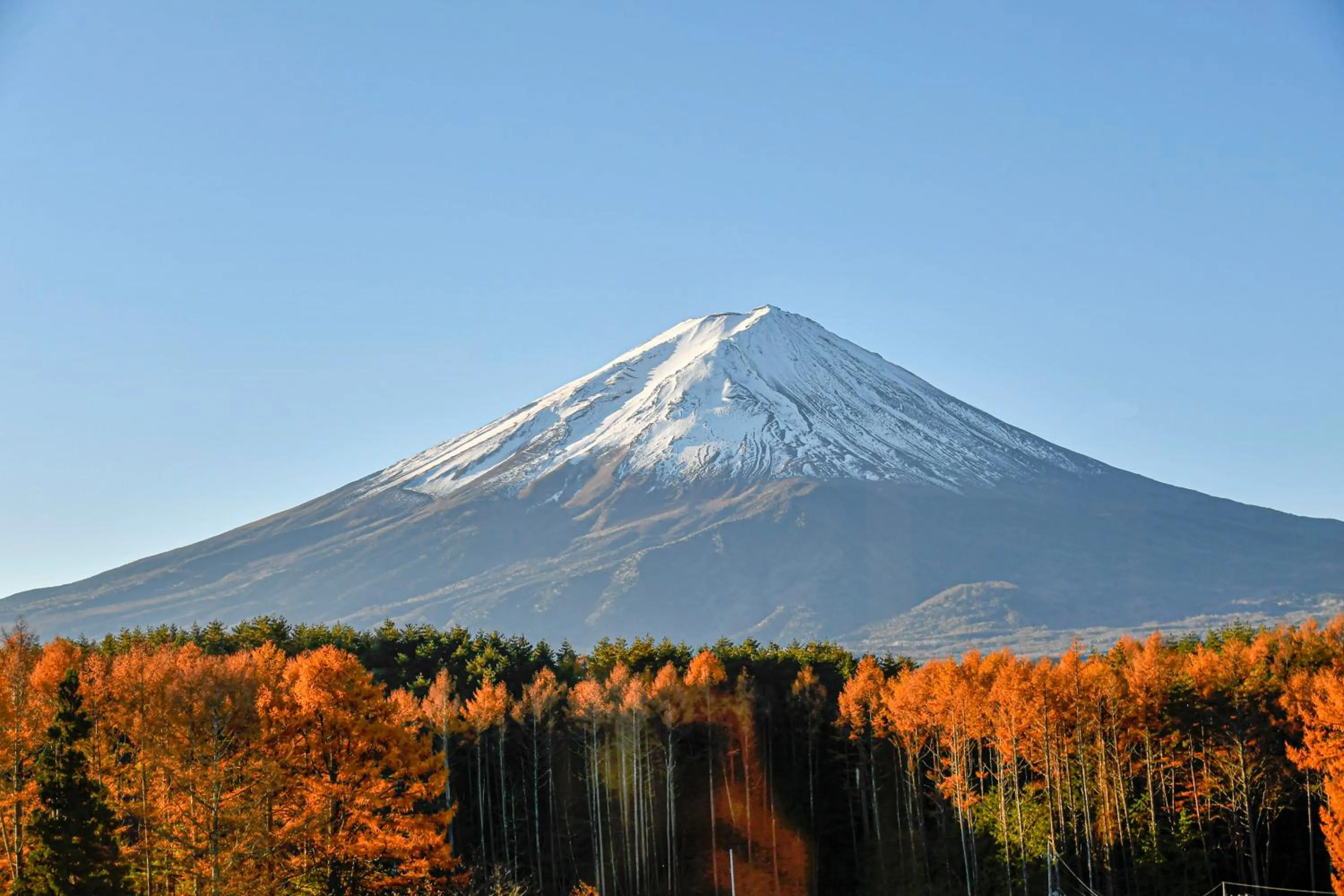 Natural landscape in The Gran Resort Princess Fujikawaguchiko