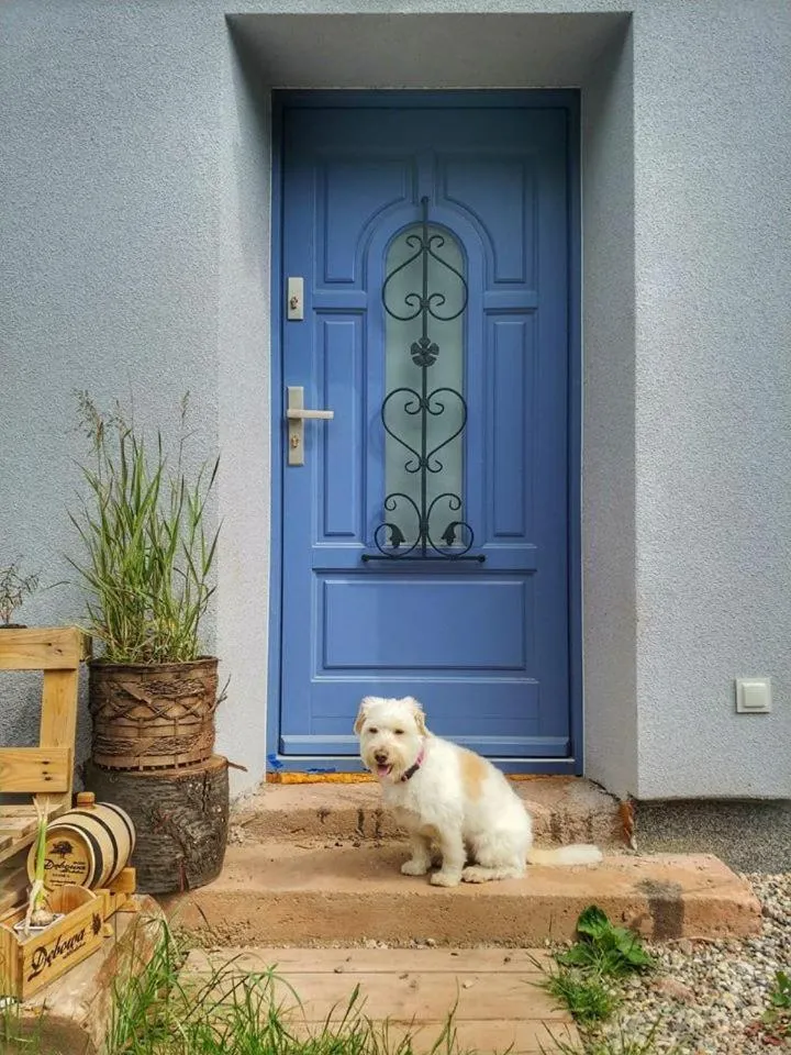 Pokoje Gościnne Art- Dworek