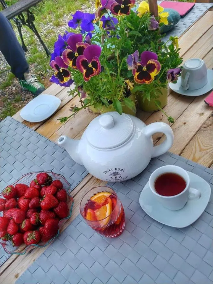 Pokoje Gościnne Art- Dworek