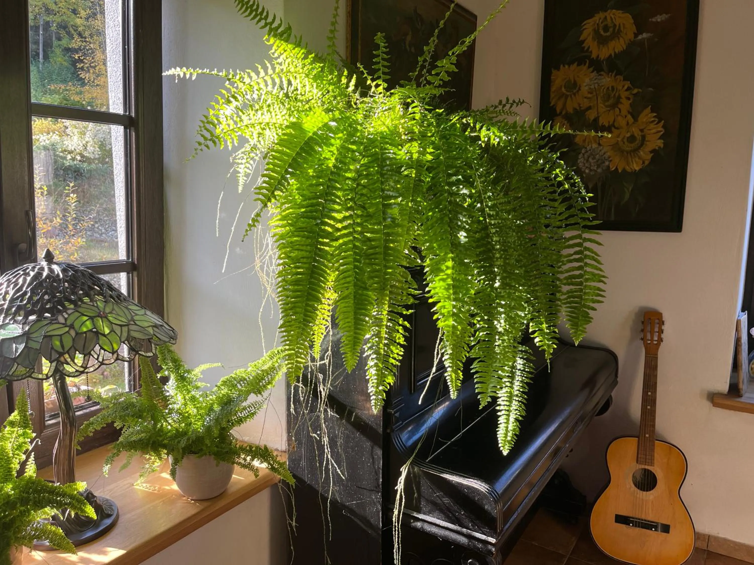 Pokoje Gościnne Art- Dworek