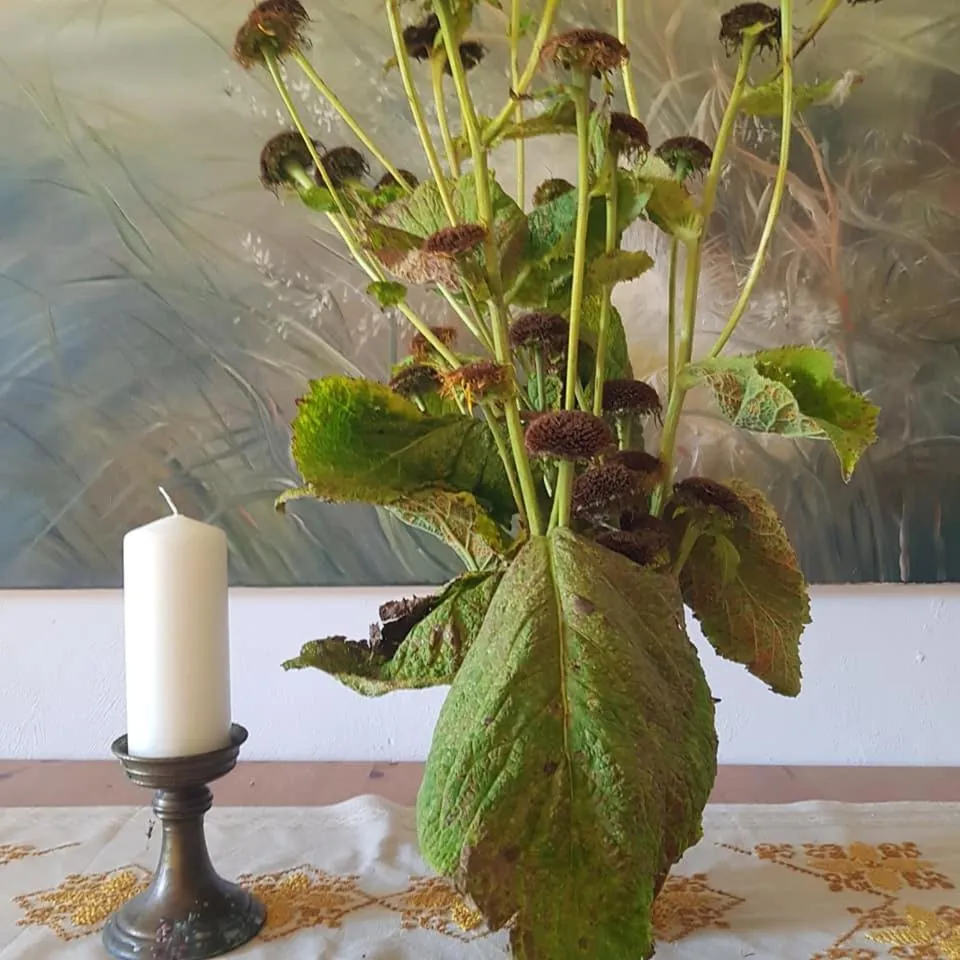 Pokoje Gościnne Art- Dworek