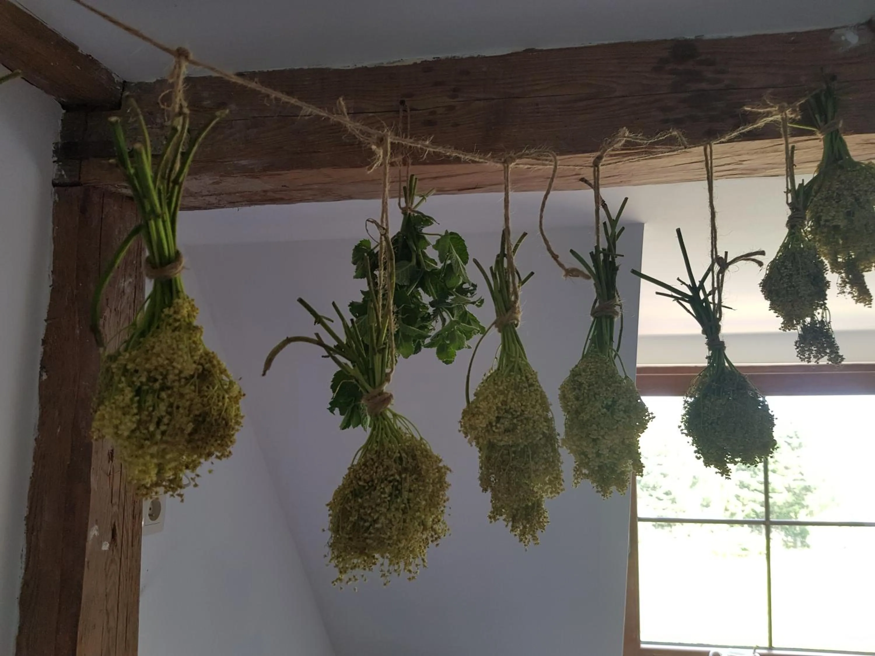 Pokoje Gościnne Art- Dworek