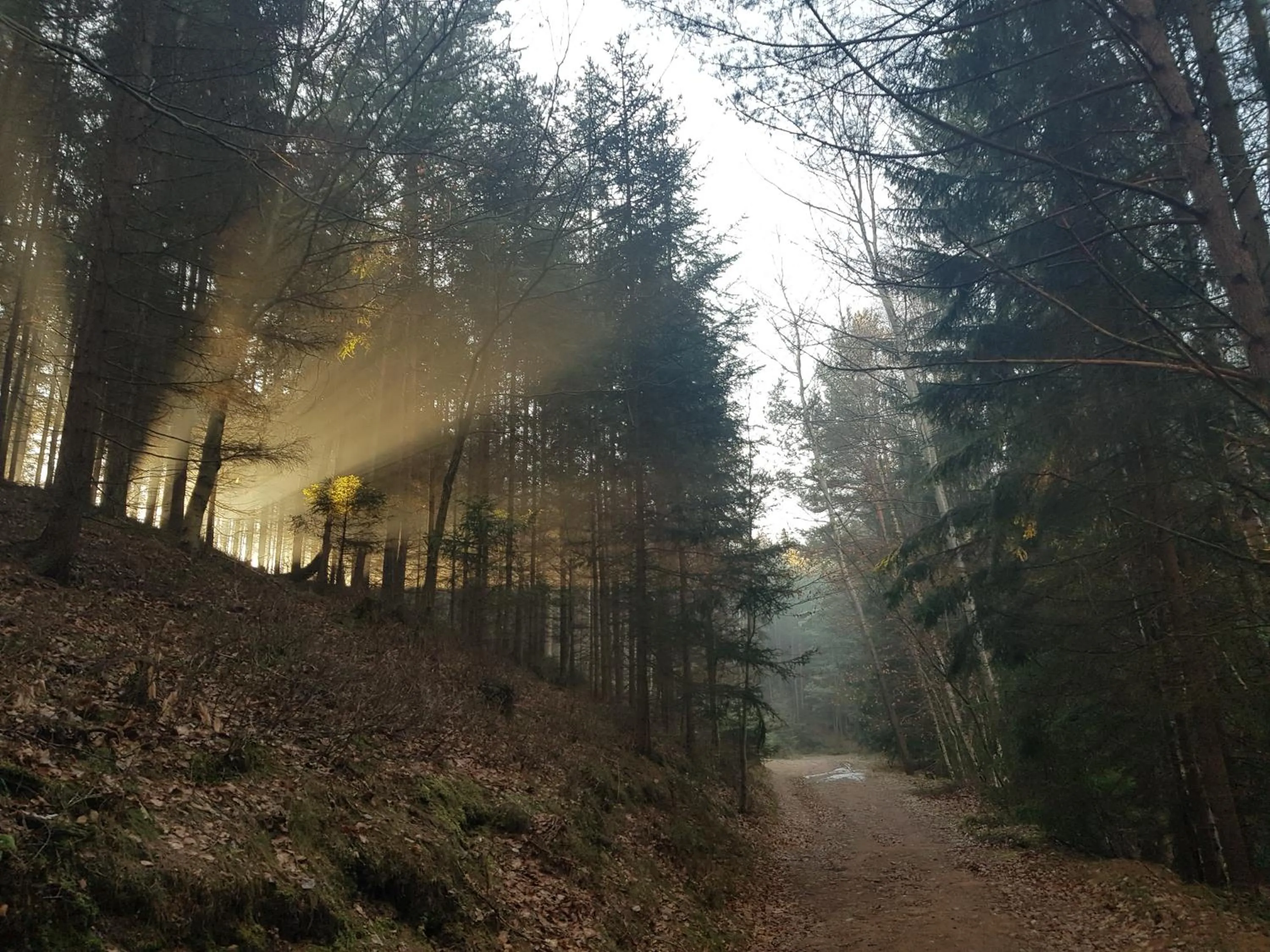 Pokoje Gościnne Art- Dworek