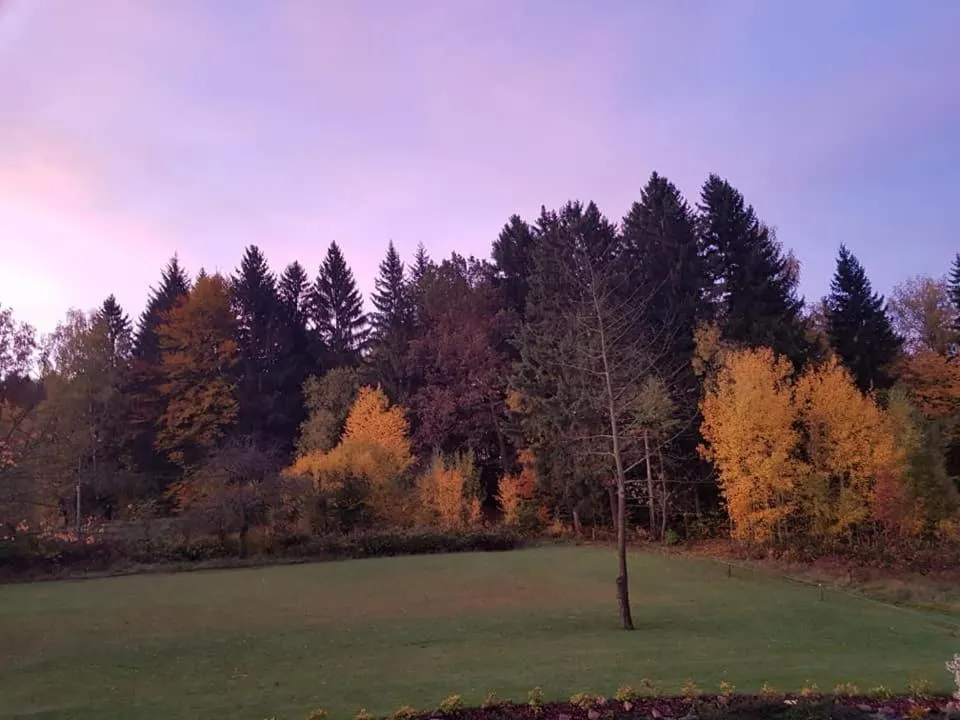 Pokoje Gościnne Art- Dworek