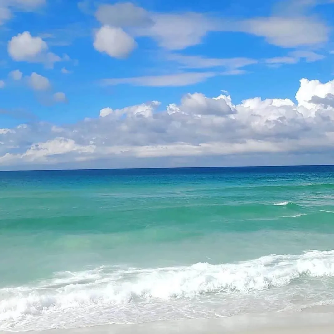 Natural landscape in Nova Onda Hotel