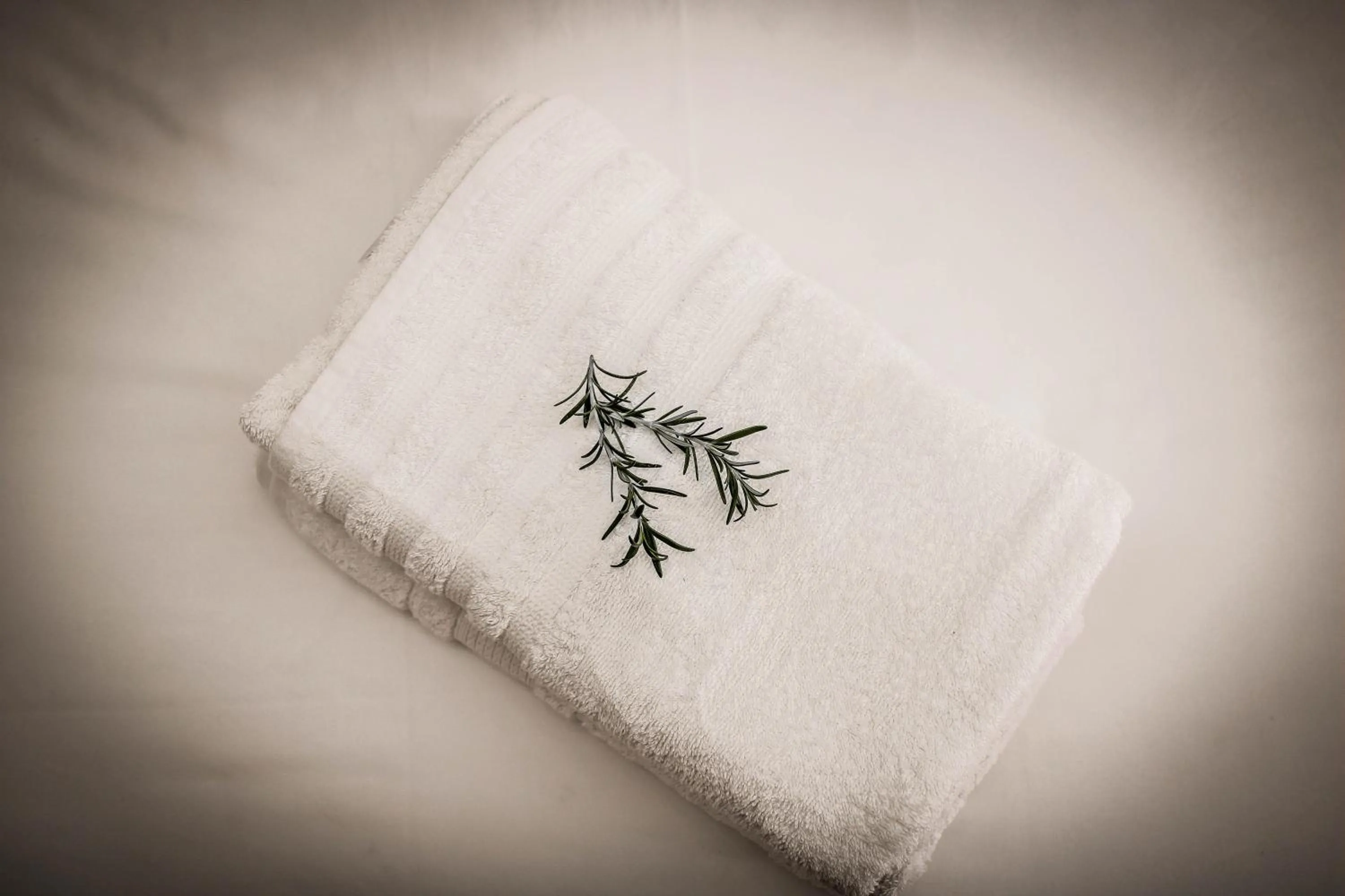 towels in Potch Manor Guest House