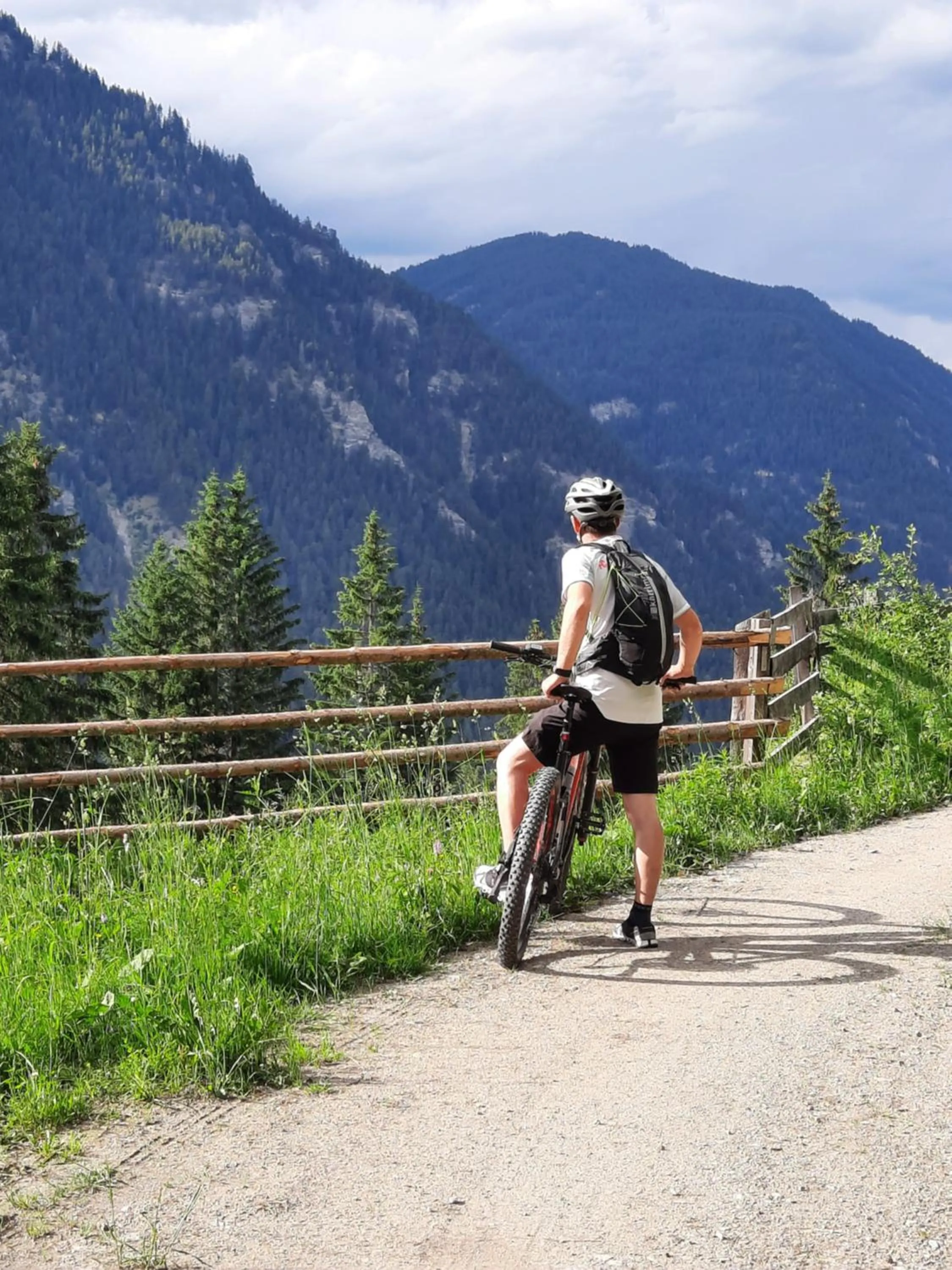 Natural landscape in Alblerhof