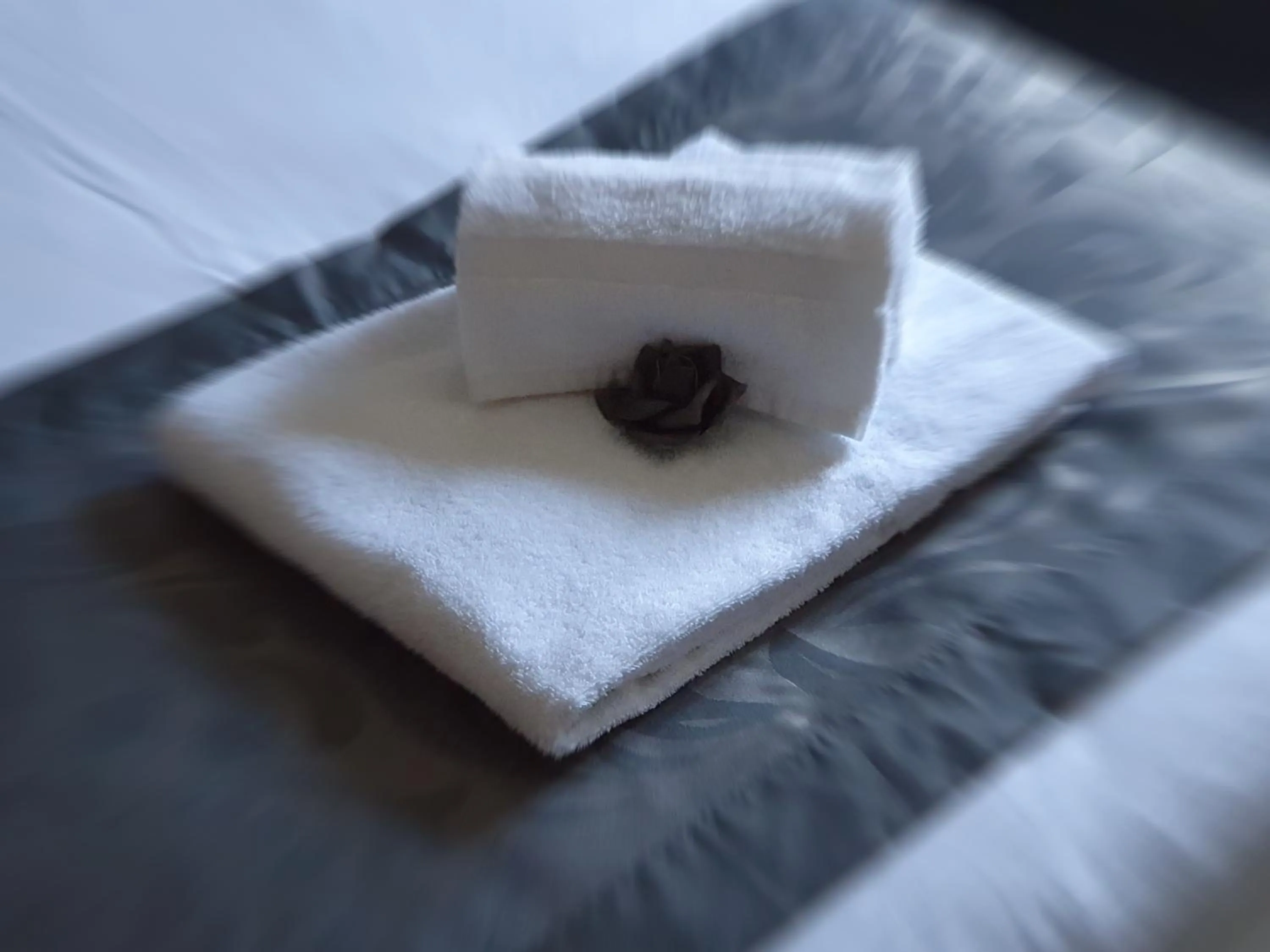 Bed in Waldhotel Surwold