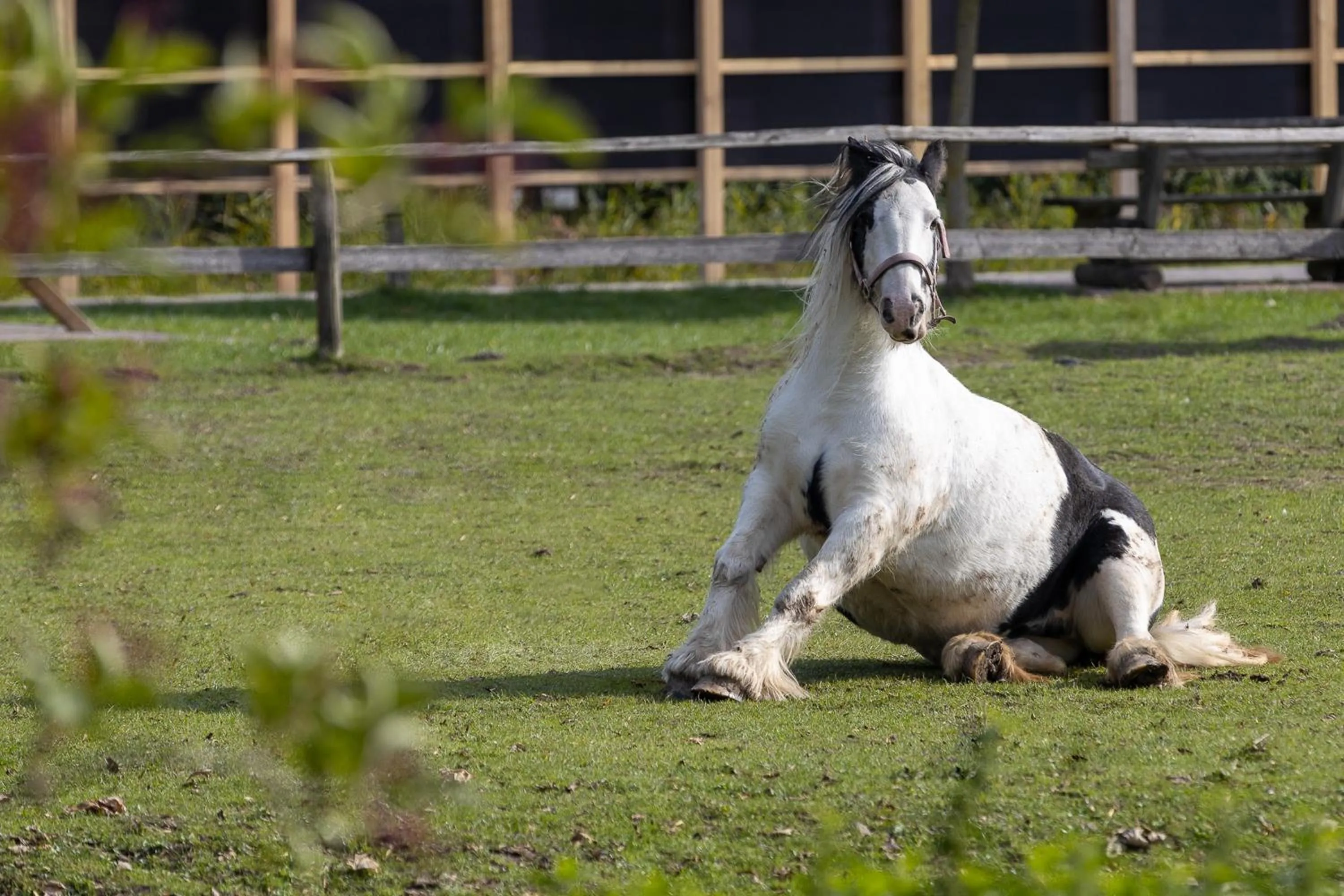 Familien- und Aparthotel Strandhof