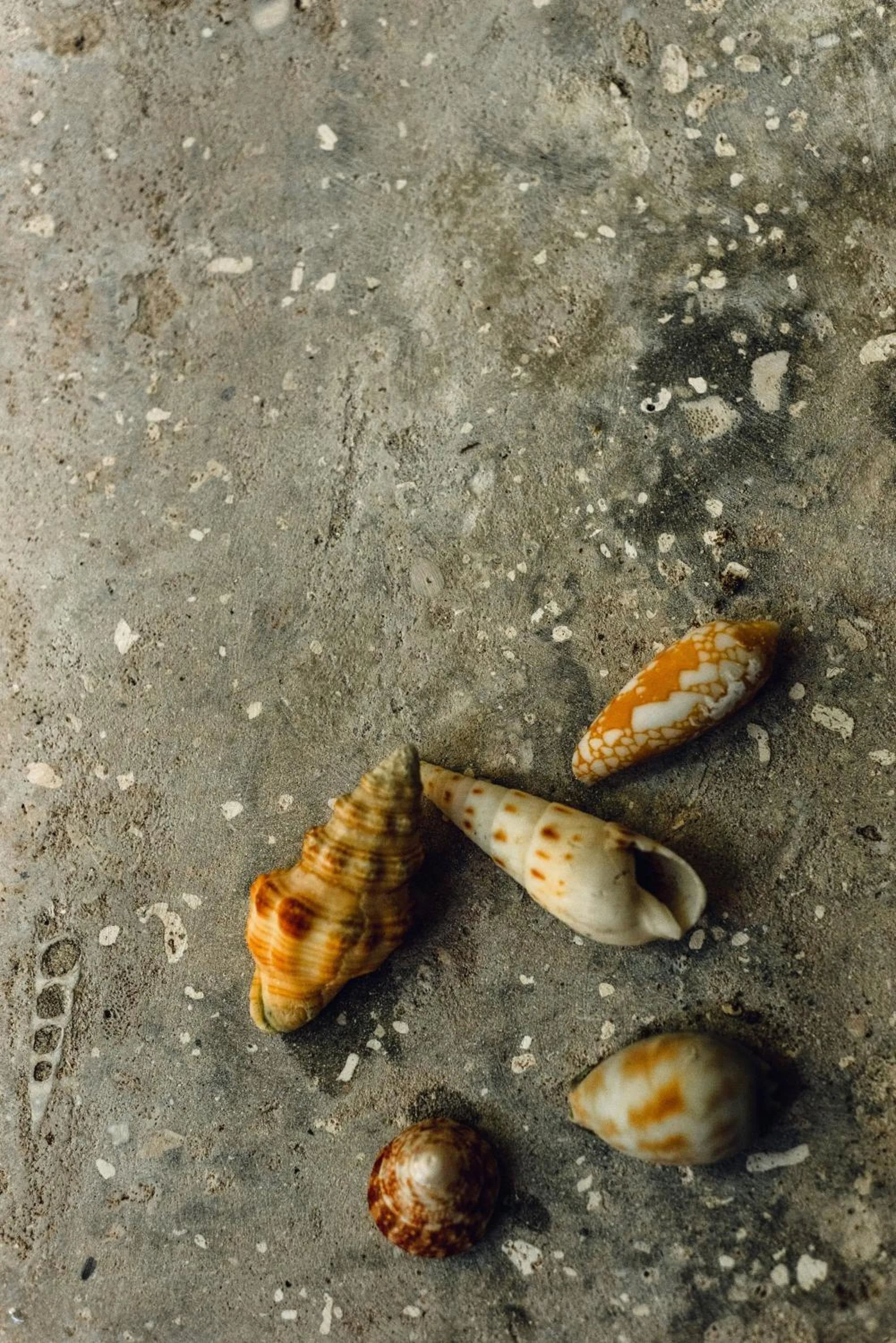 Decorative detail in Mi Lugar Maldives
