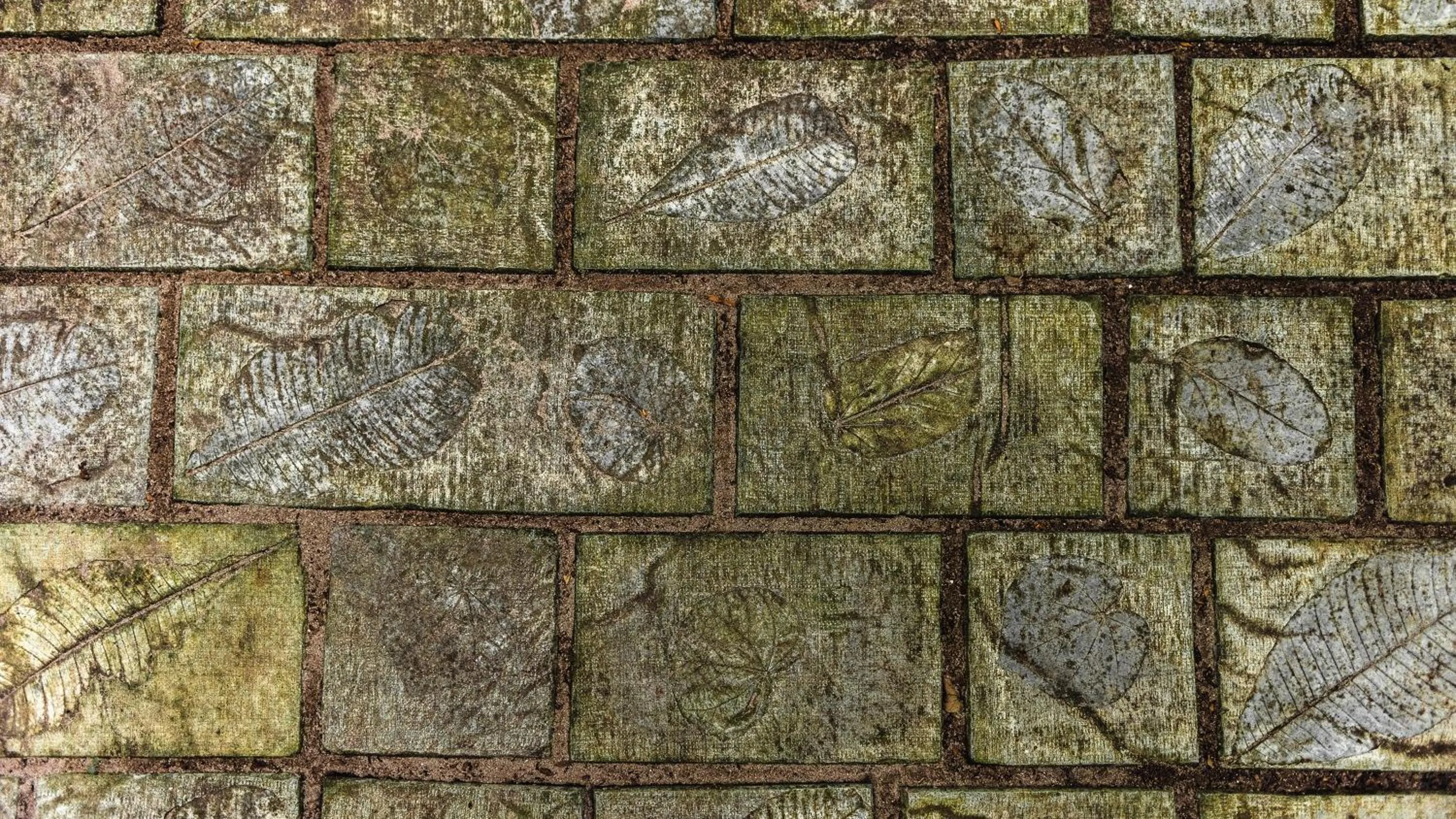 Decorative detail in Mi Lugar Maldives