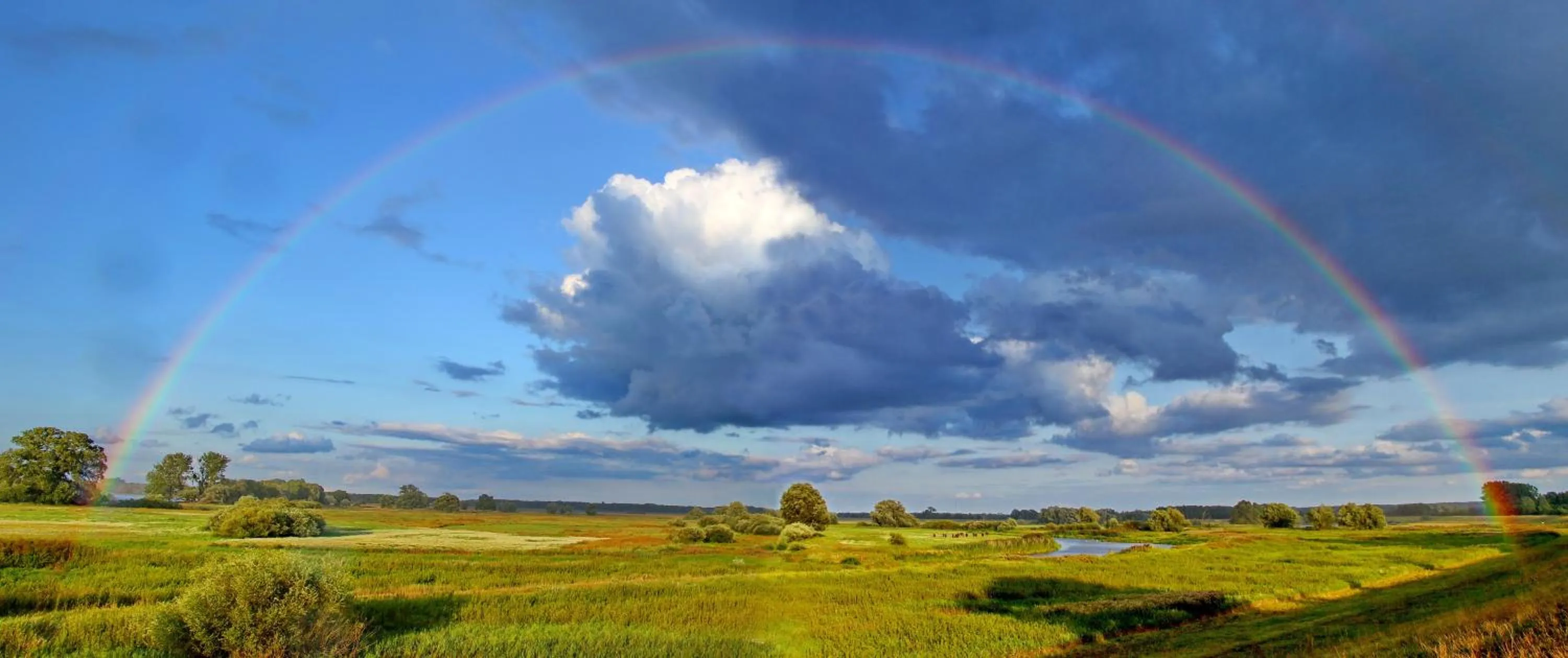 Natural landscape in Hotel Steinhagen
