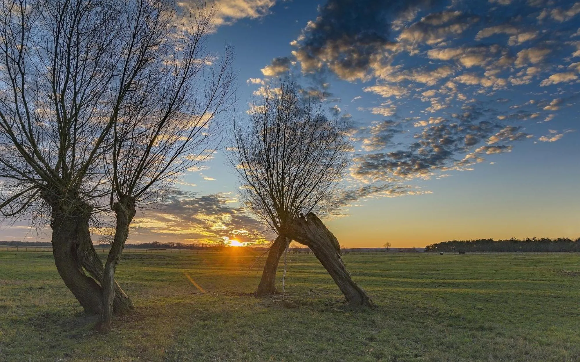 Natural landscape in Hotel Steinhagen