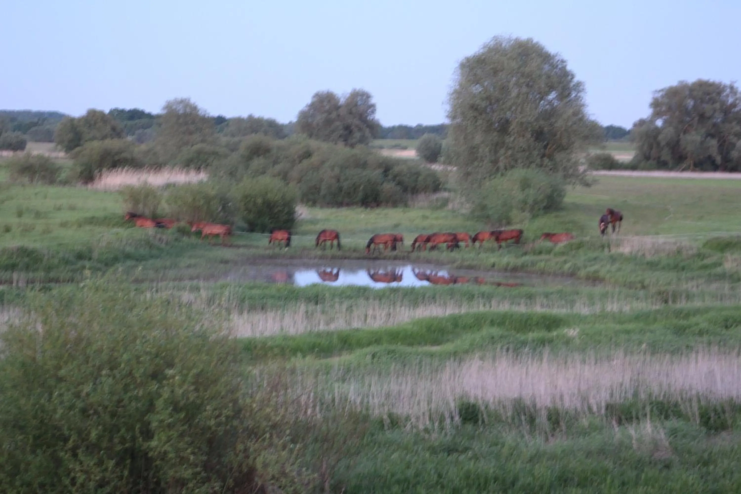 Natural landscape in Hotel Steinhagen
