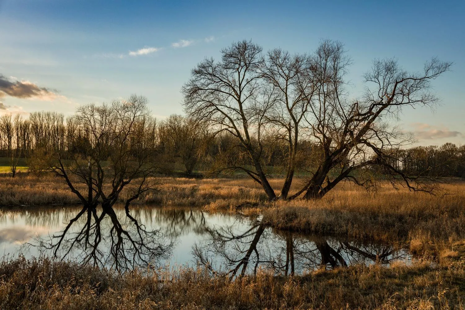 Natural landscape in Hotel Steinhagen