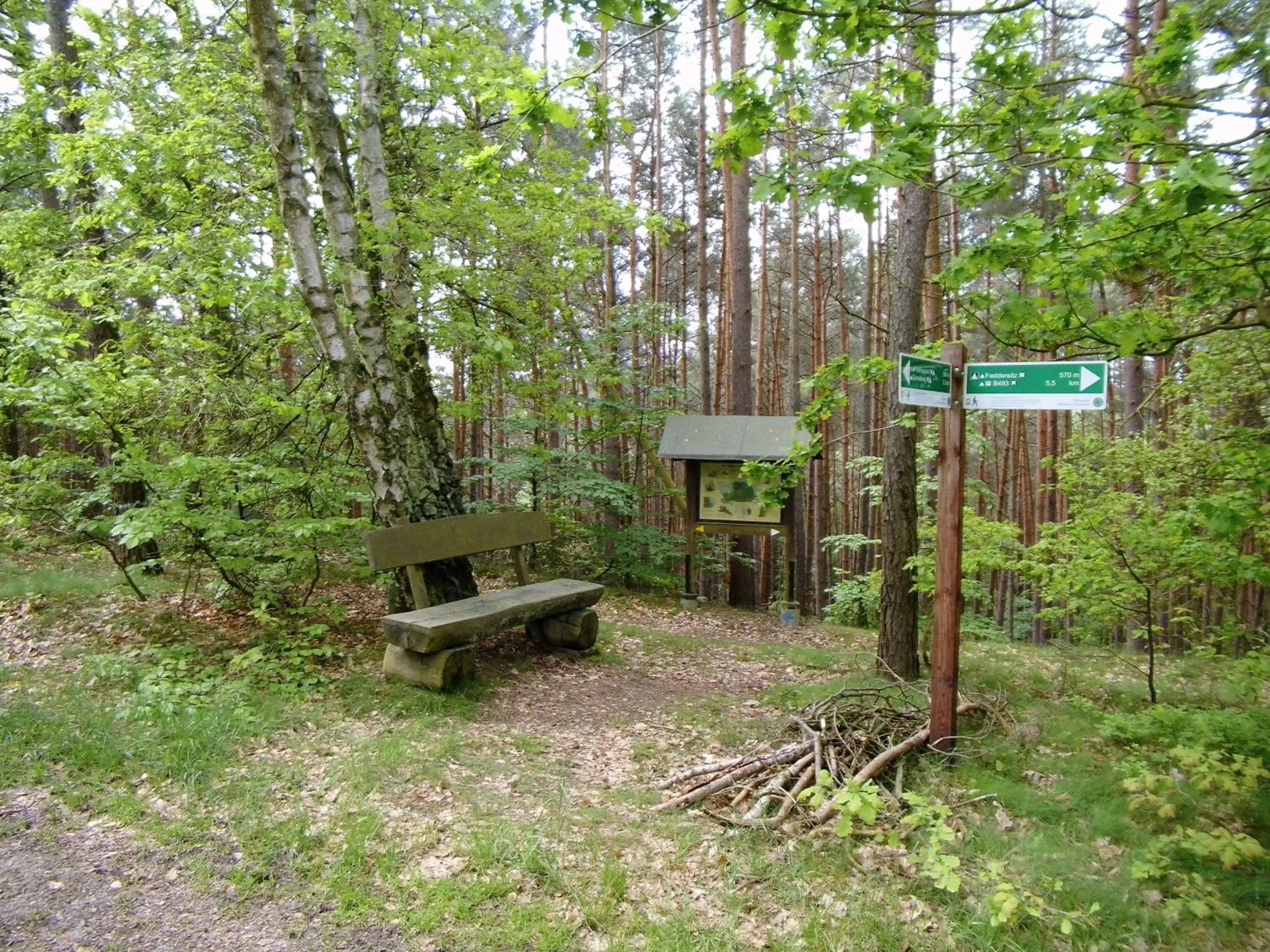 Hiking in Hotel Steinhagen