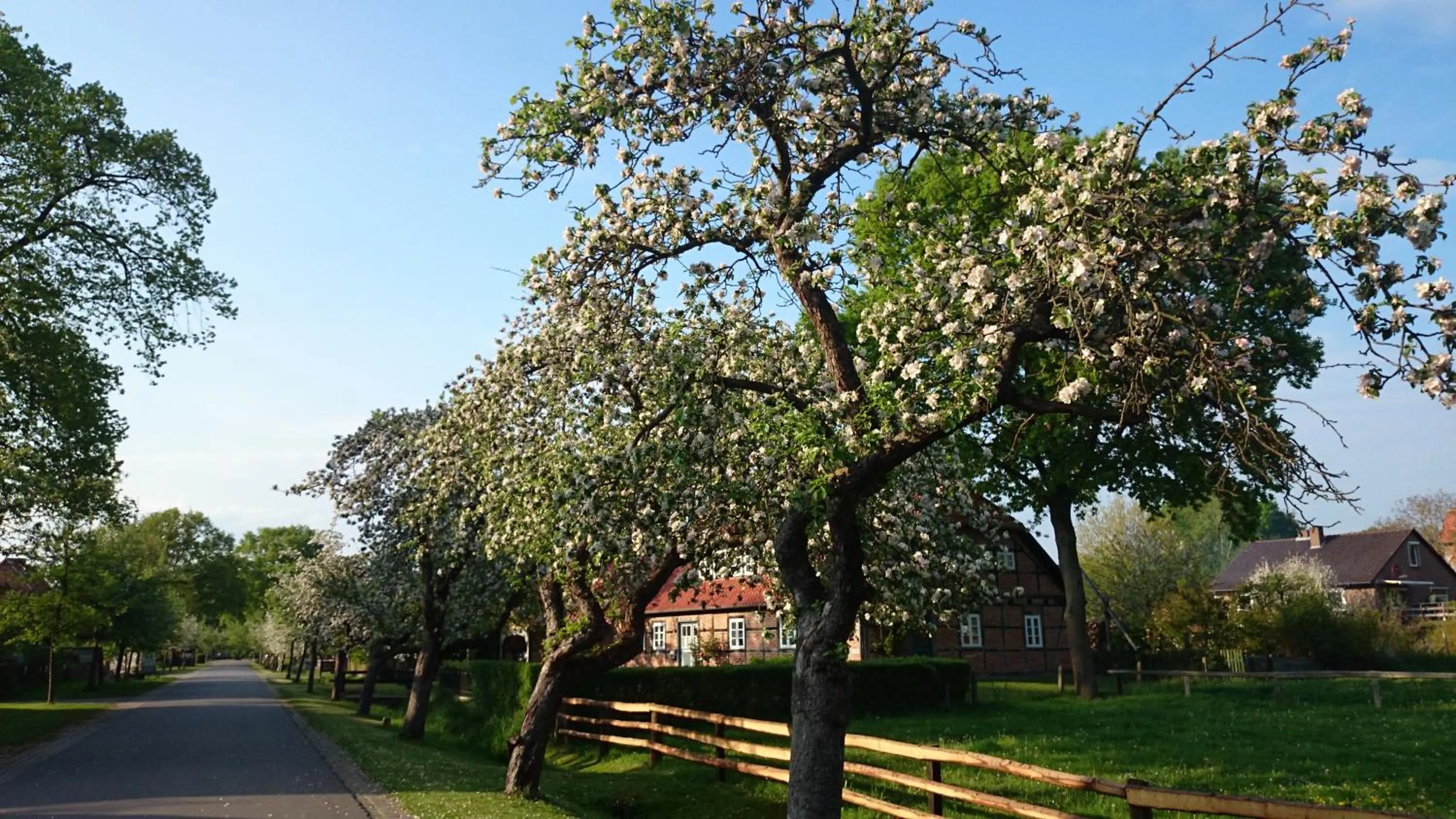 Staff in Hotel Steinhagen