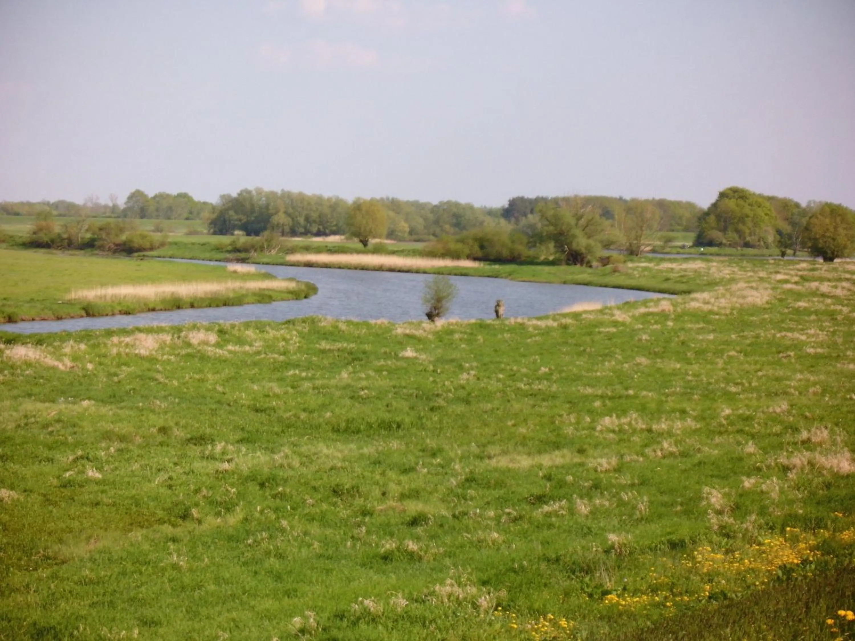 Fishing in Hotel Steinhagen