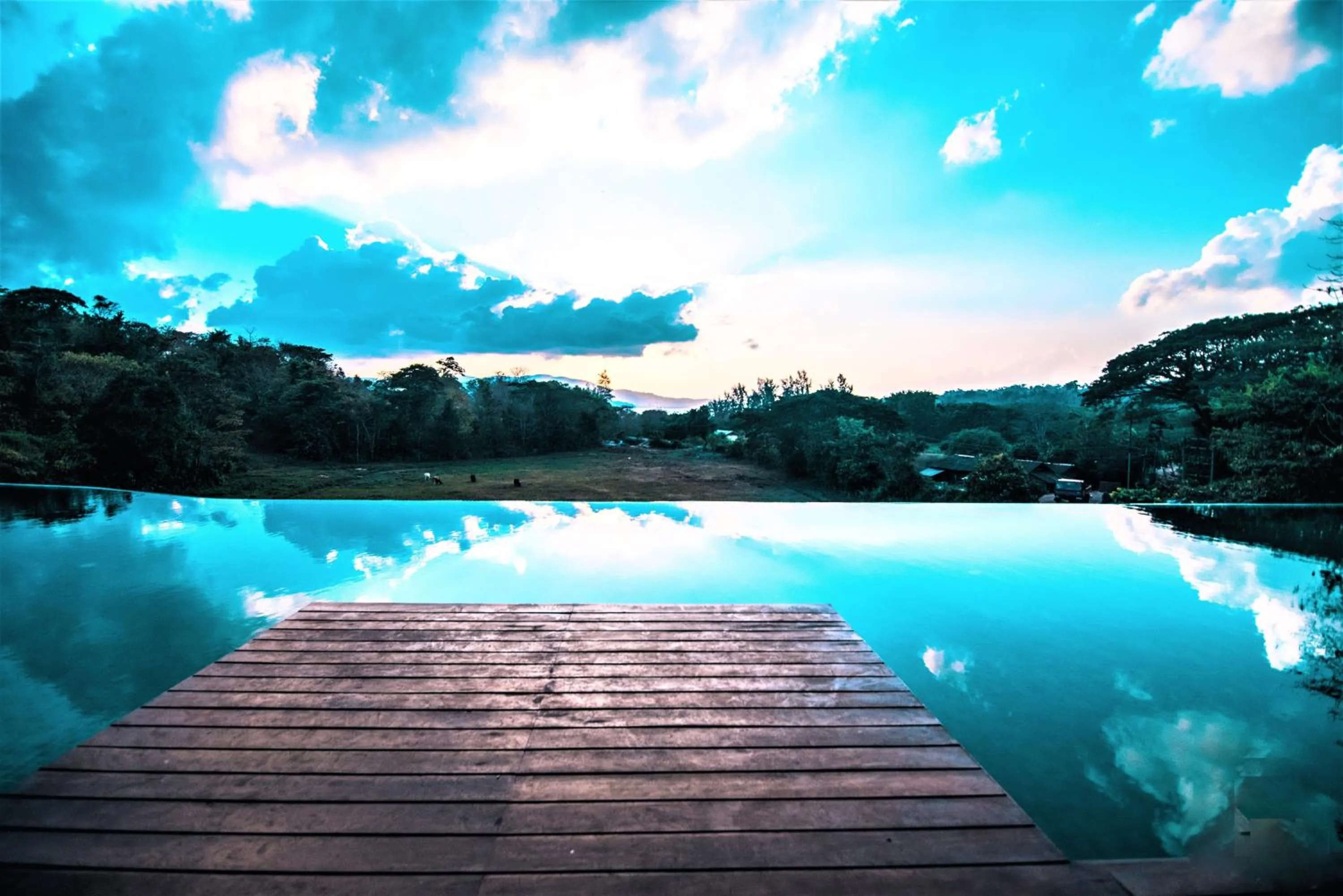 Swimming pool in Symphony Samudra Beachside Jungle Resort And Spa