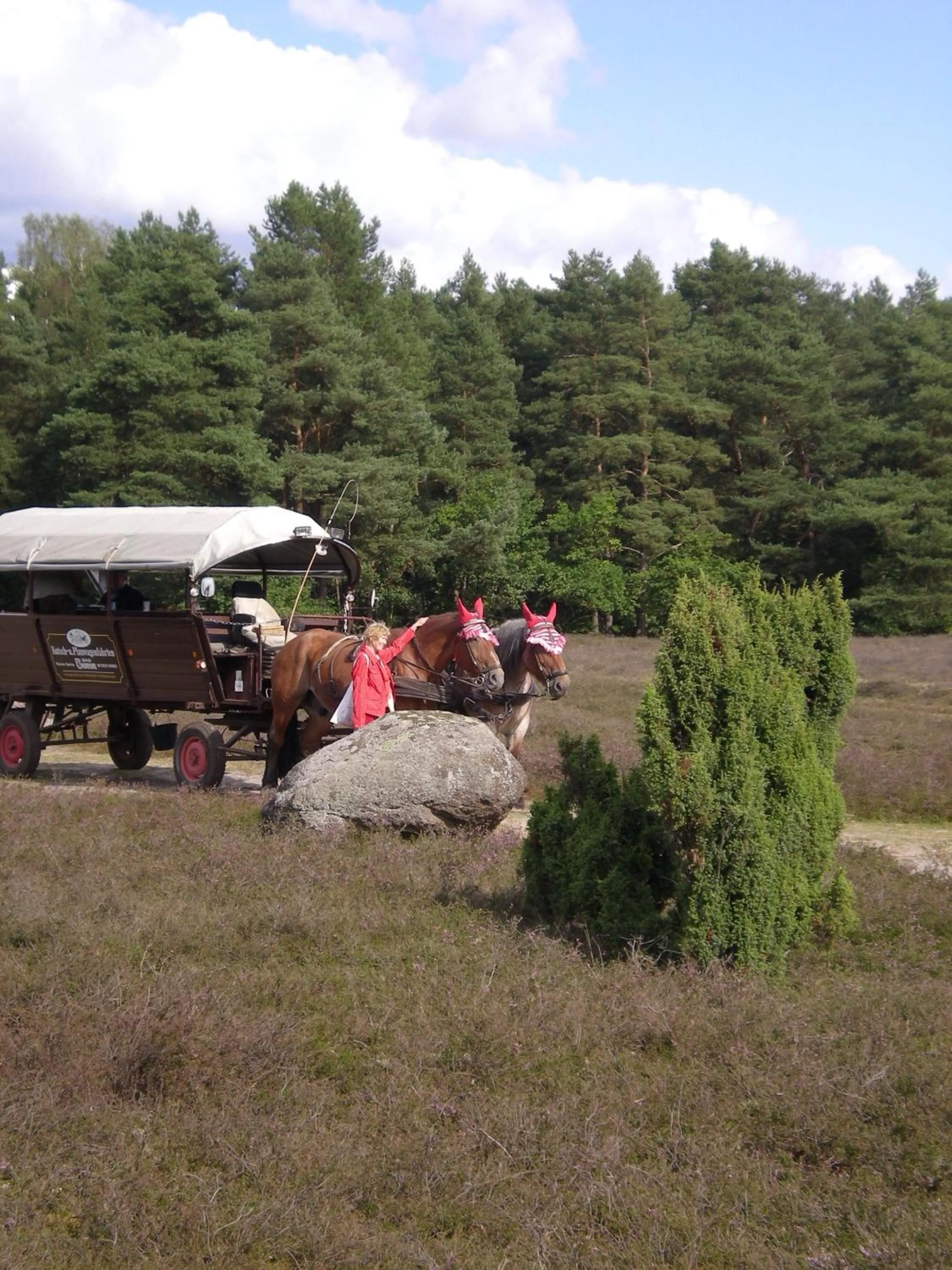 Natural landscape in Heidehotel Bad Bevensen