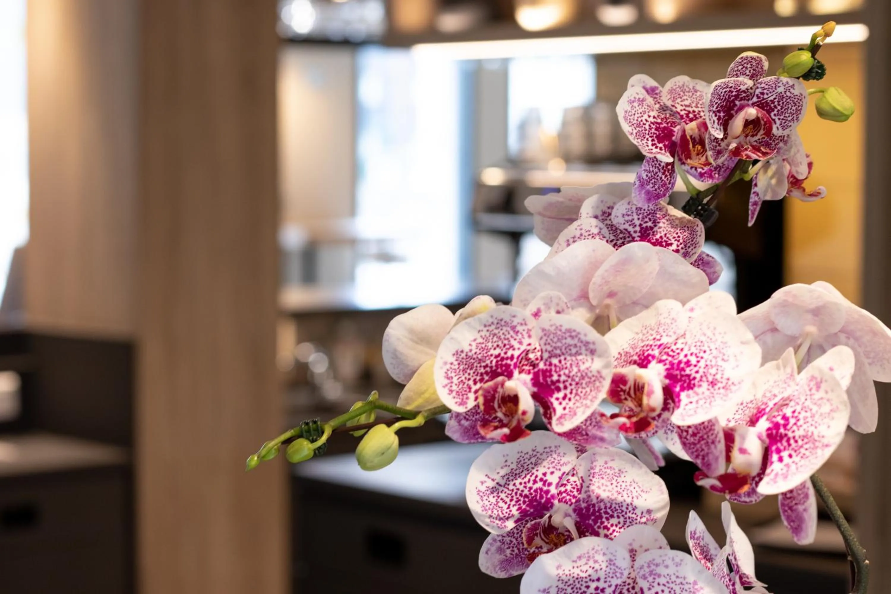 Lobby or reception in Campanile PRIME - Rungis Orly