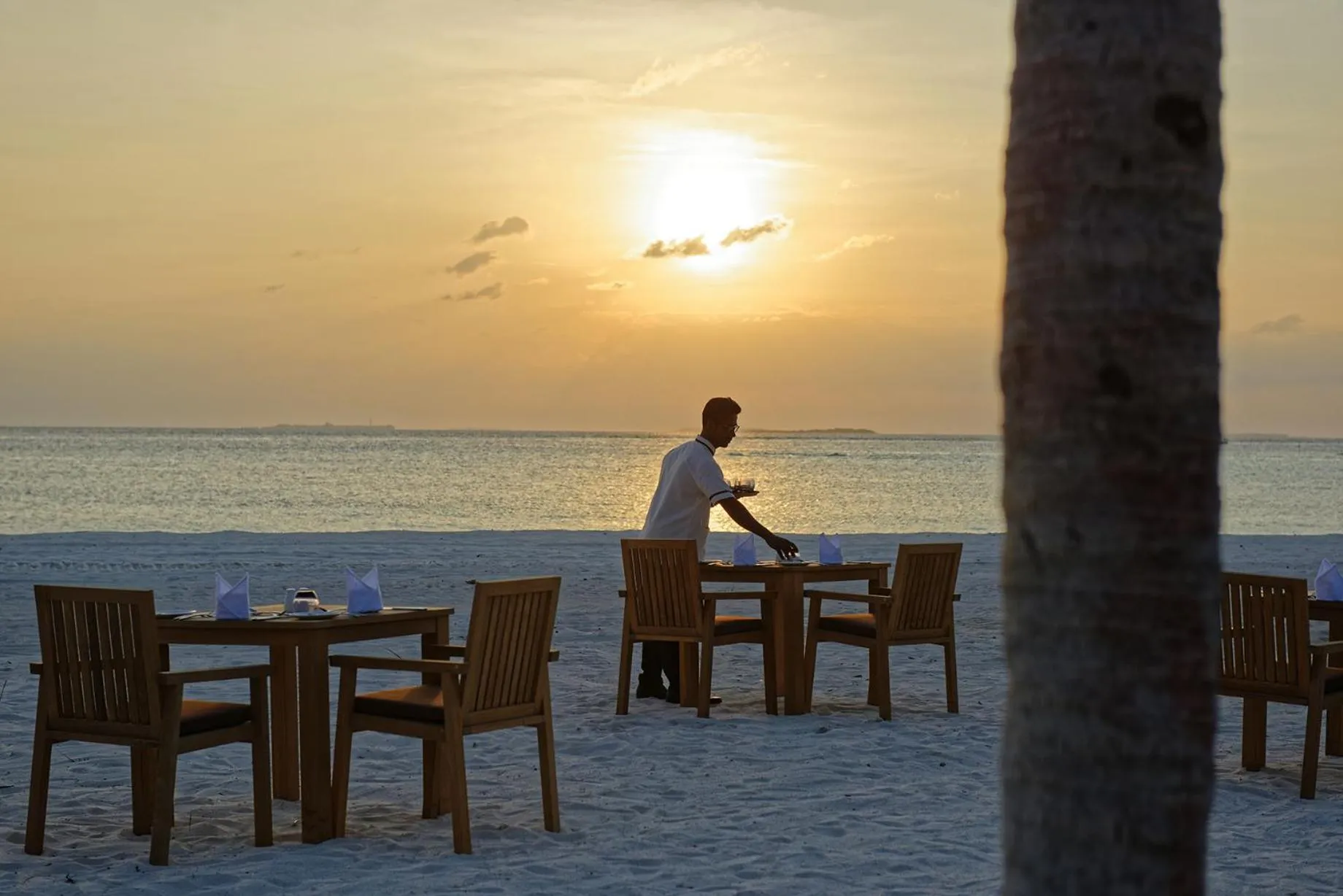 Restaurant/places to eat in Brennia Kottefaru Maldives