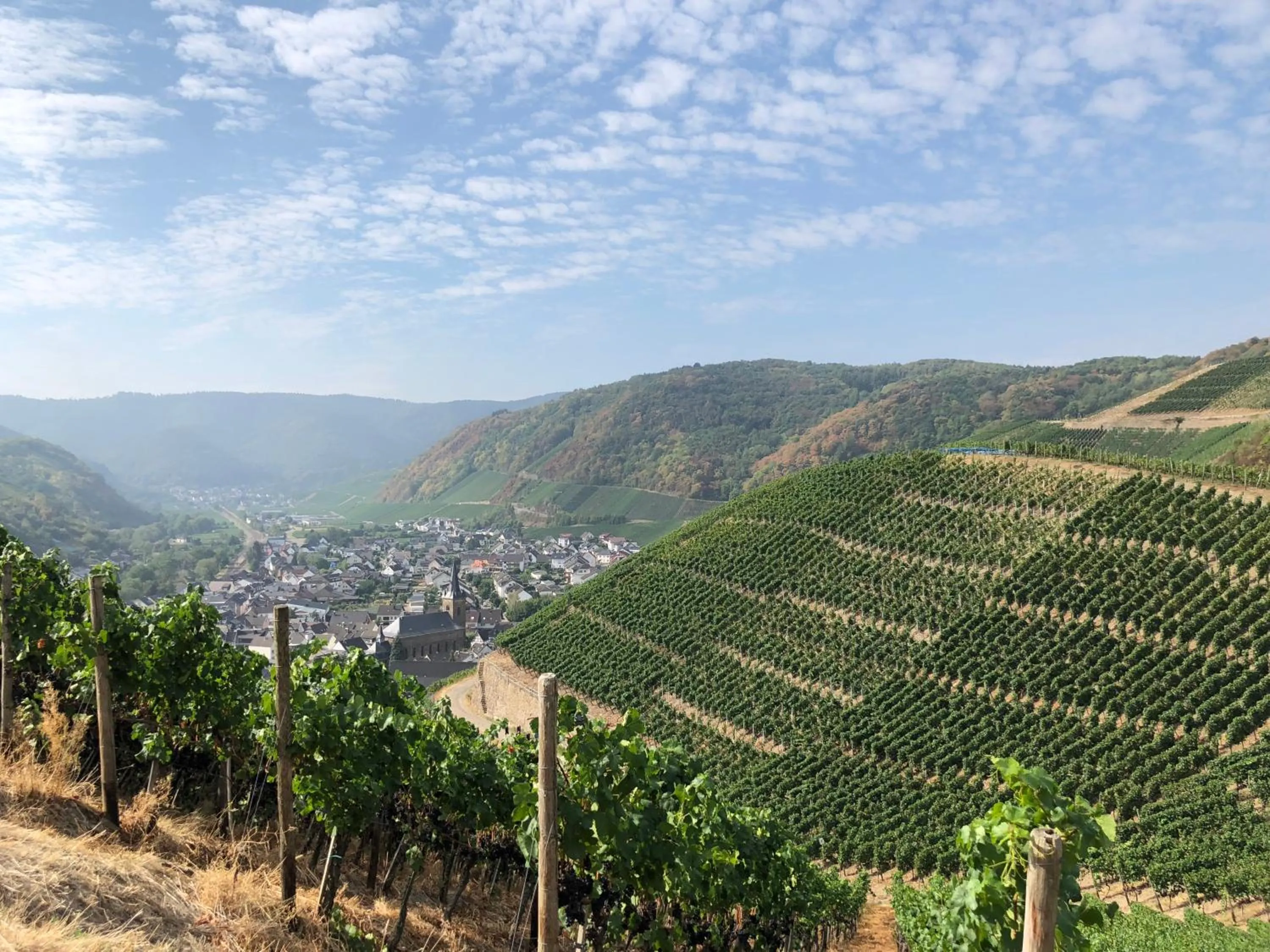 Nearby landmark in Hotel Ahrbella