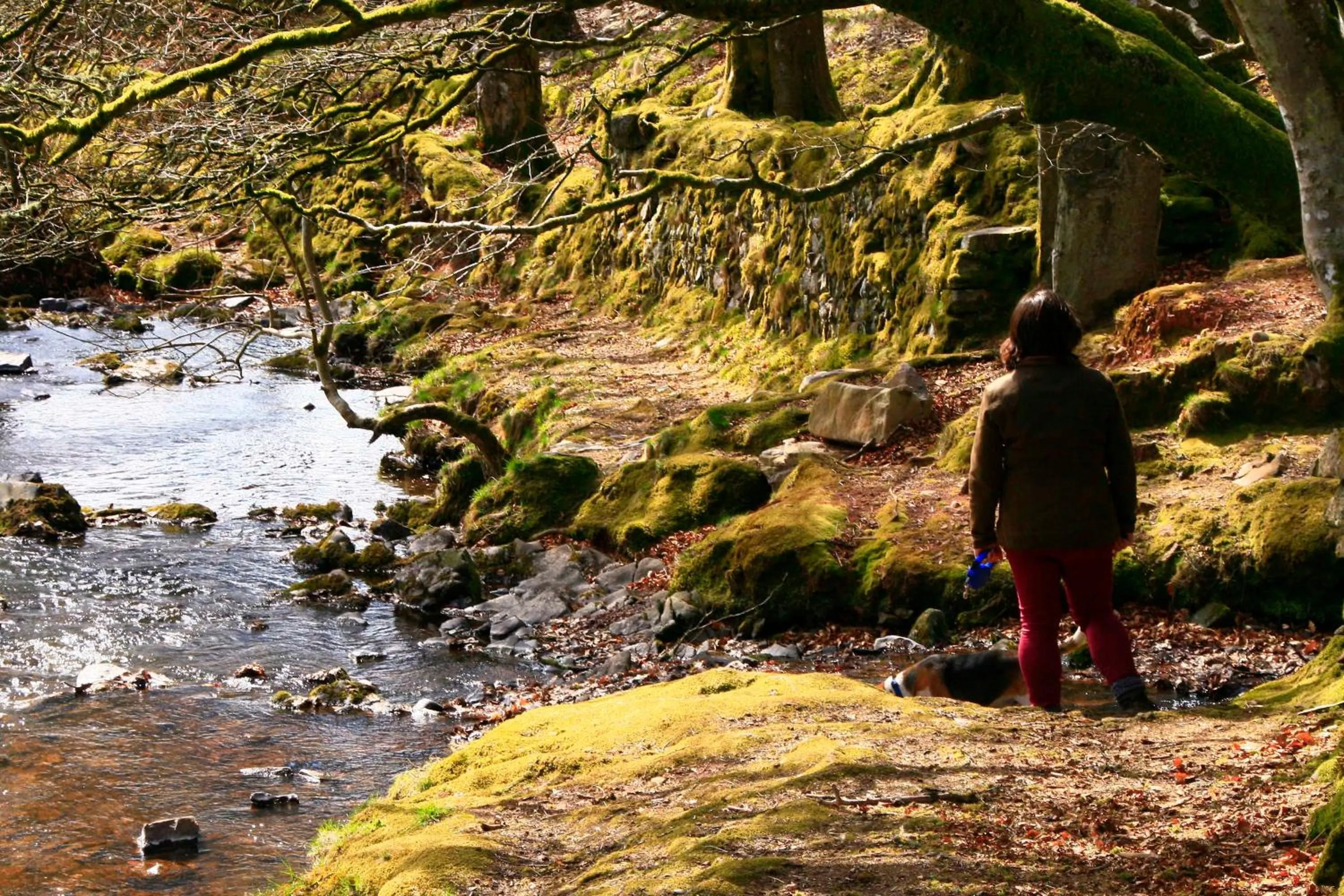 Nearby landmark in The Cottage B&B
