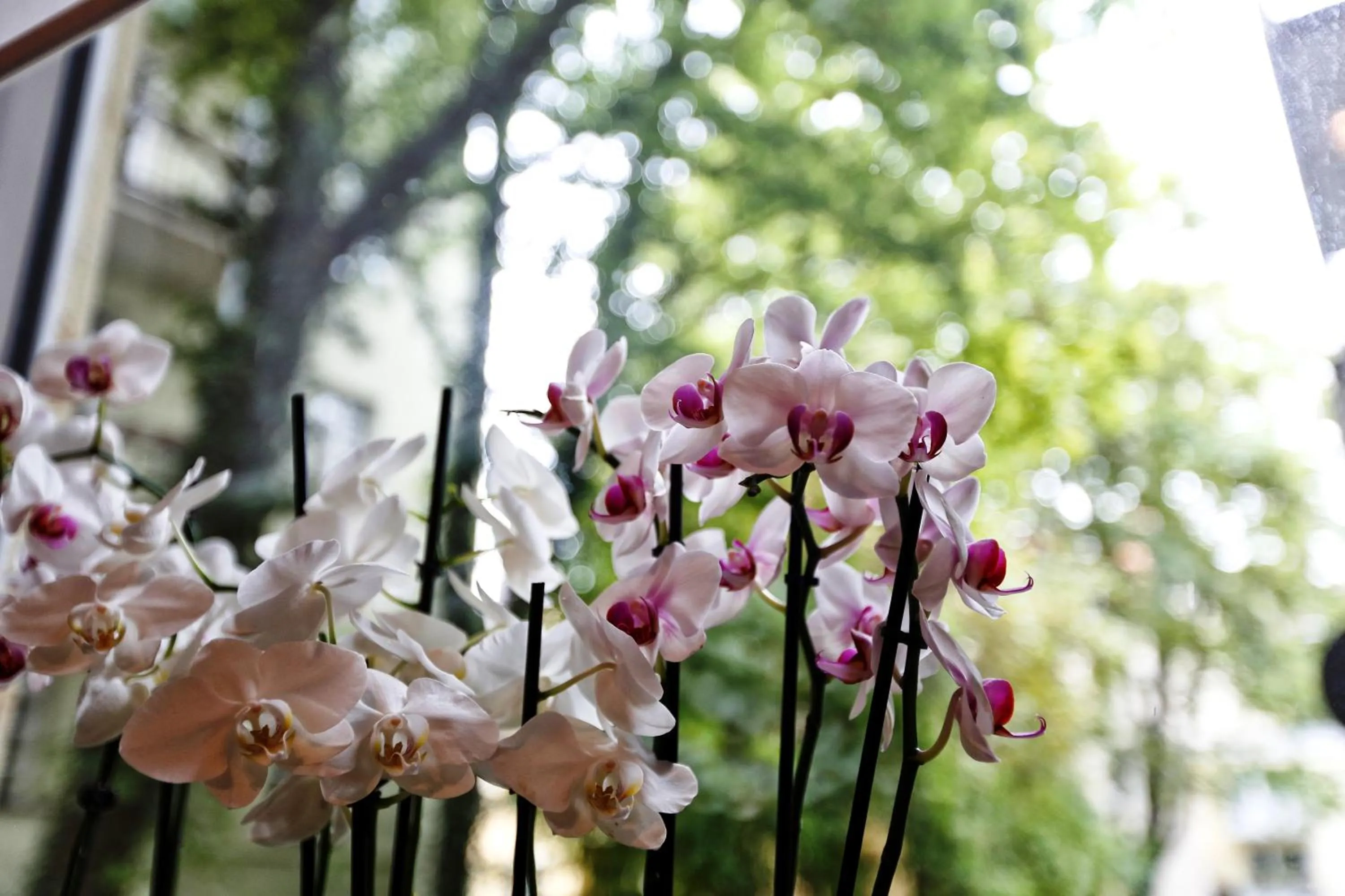 Decorative detail in Hotel Nymphenburg City - München