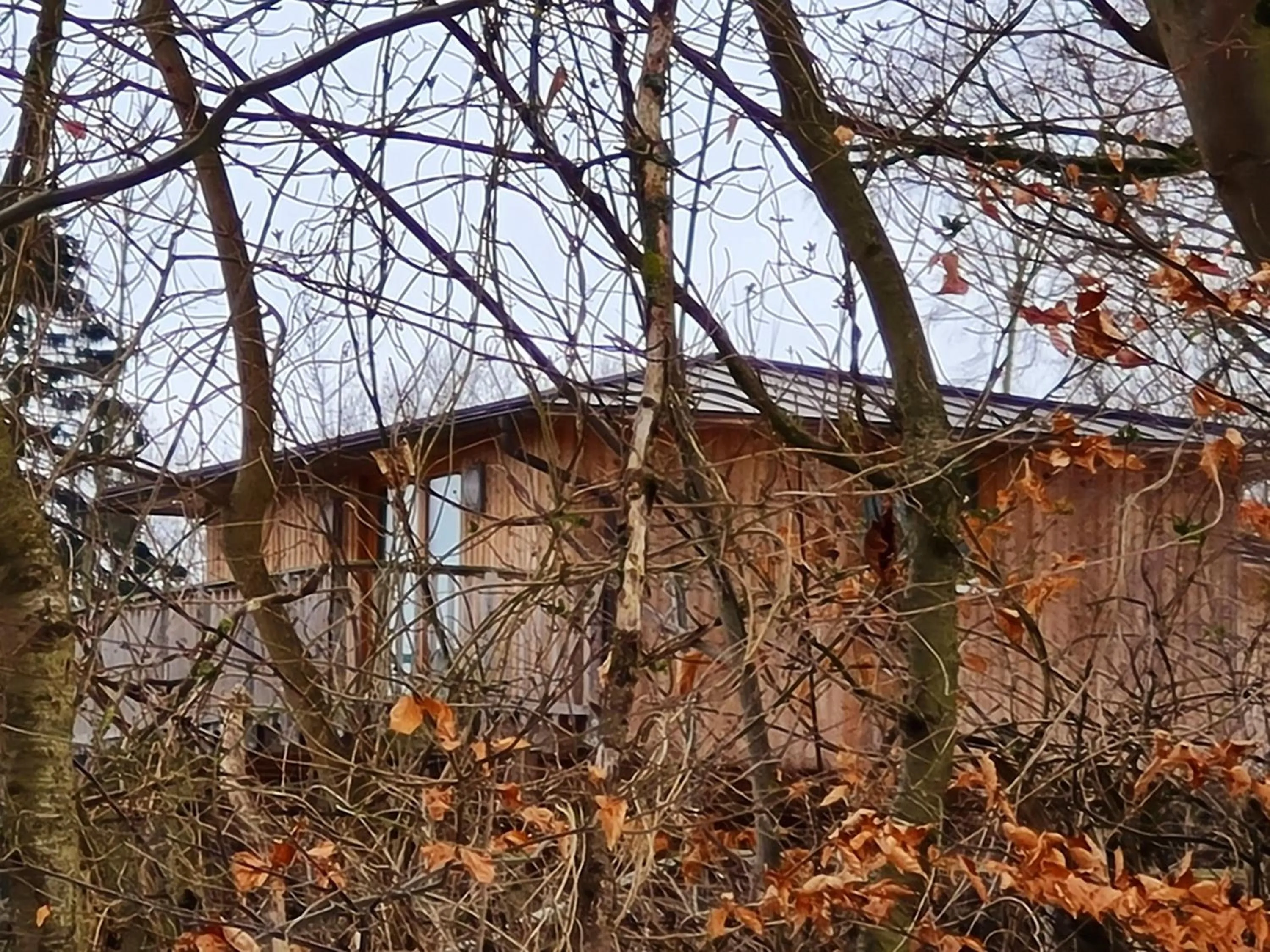 Property building in Hotel Waldquelle - Baumhaushotel Aerzen