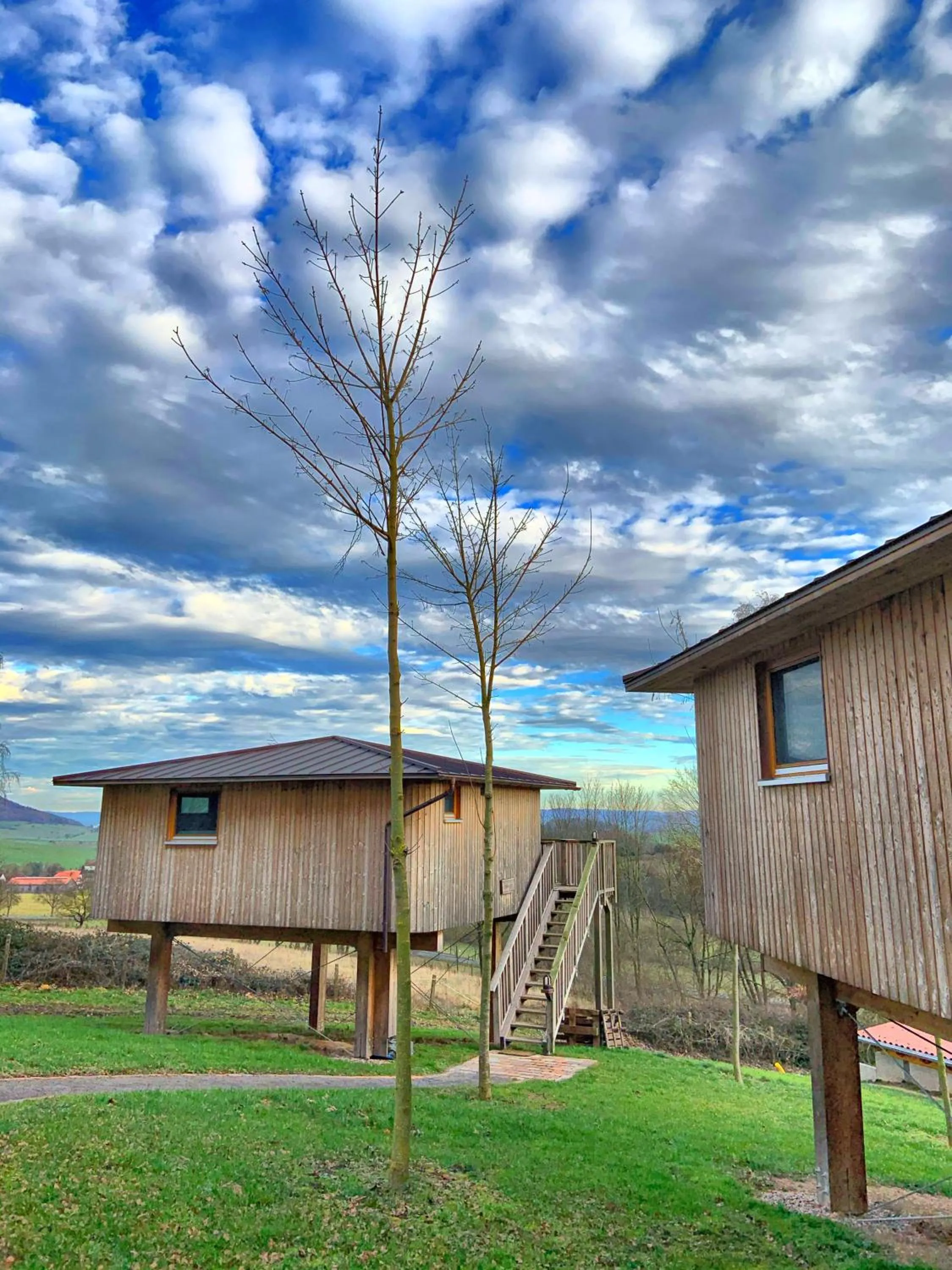Property building in Hotel Waldquelle - Baumhaushotel Aerzen