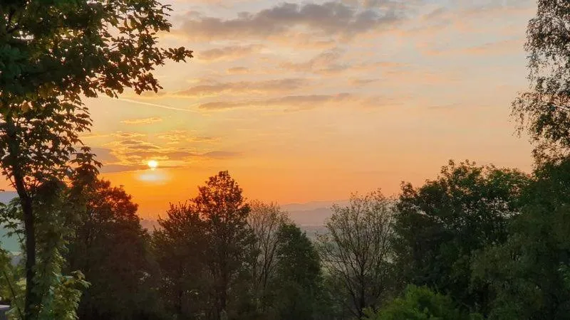 Day in Hotel Waldquelle - Baumhaushotel Aerzen