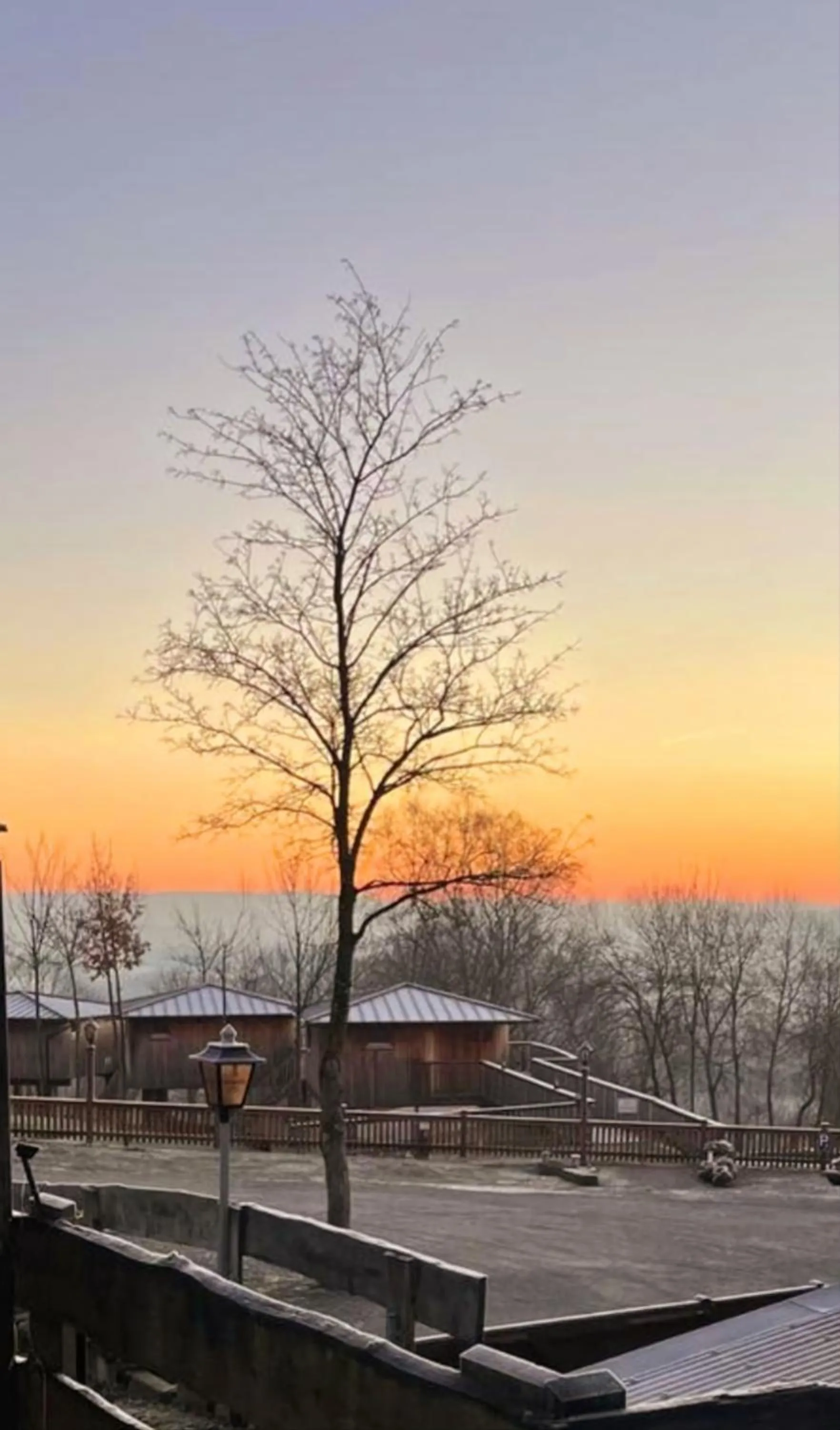 Natural landscape in Hotel Waldquelle - Baumhaushotel Aerzen
