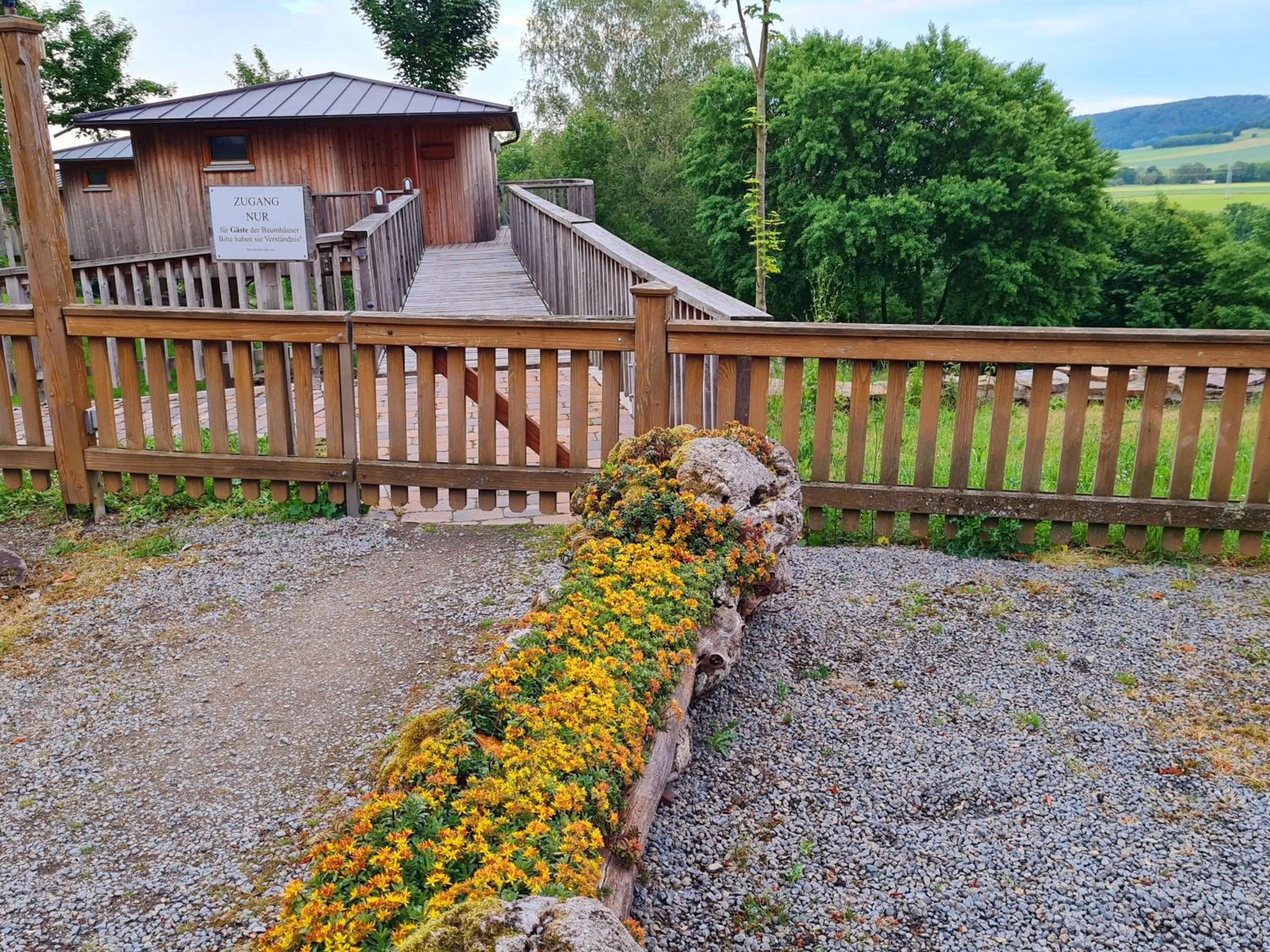 Garden view in Hotel Waldquelle - Baumhaushotel Aerzen