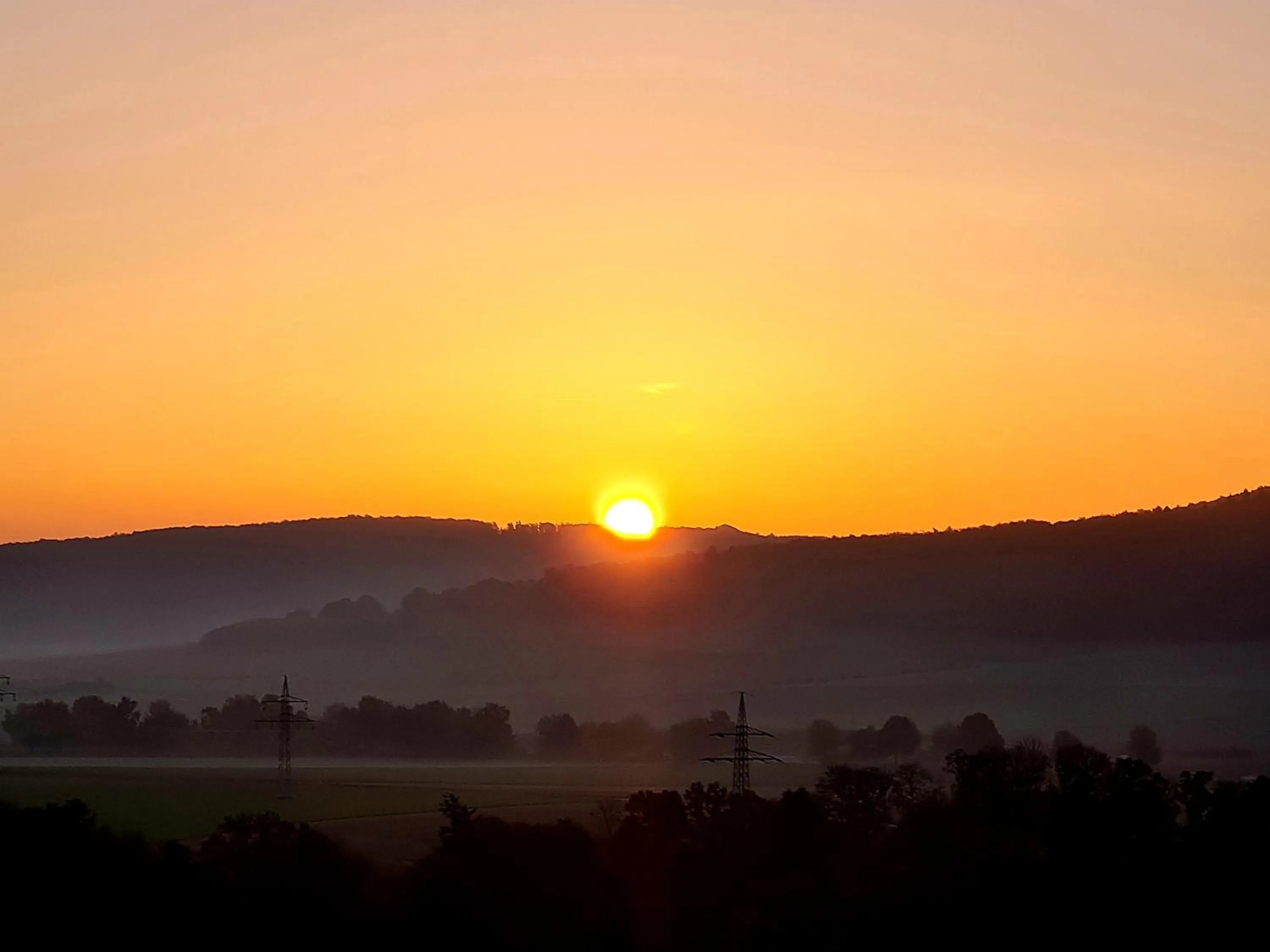 View (from property/room) in Hotel Waldquelle - Baumhaushotel Aerzen