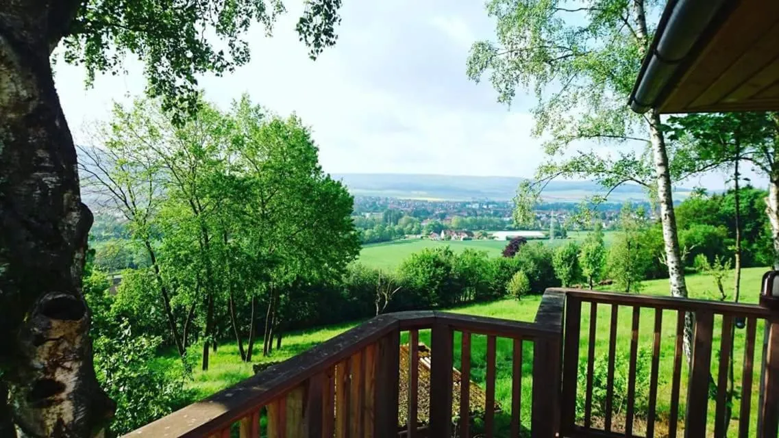 Natural landscape in Hotel Waldquelle - Baumhaushotel Aerzen