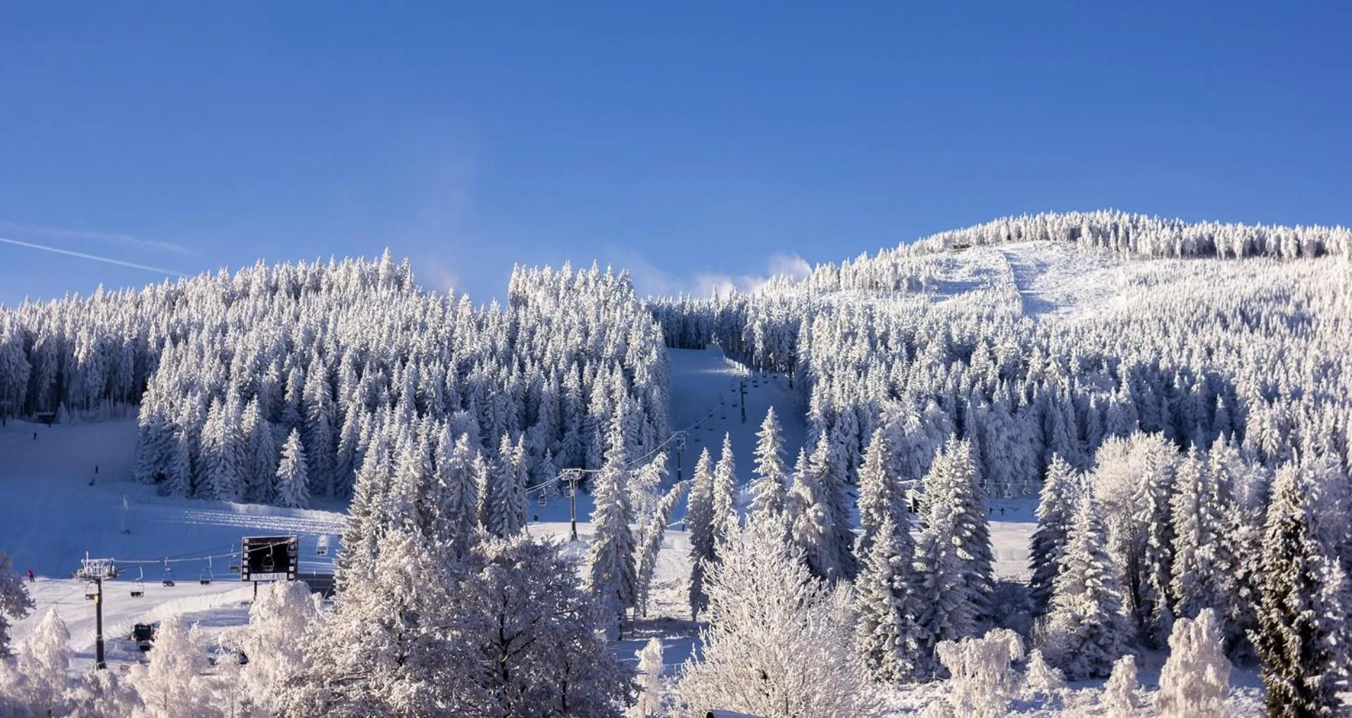 Kosówka Czarna Góra